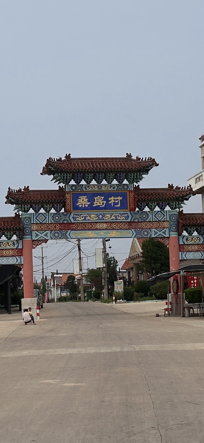 桑岛旅行图片 1