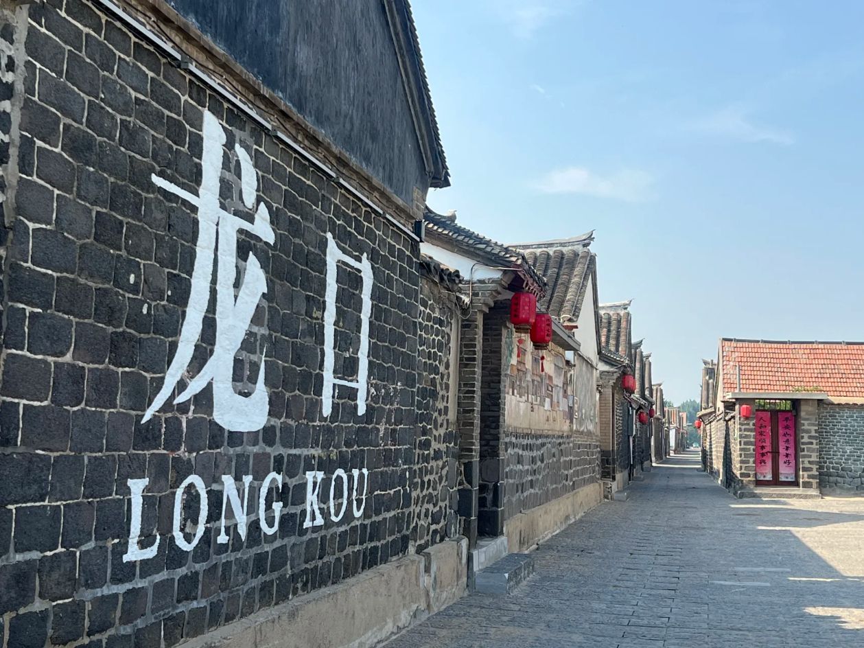 桑岛旅行图片 1