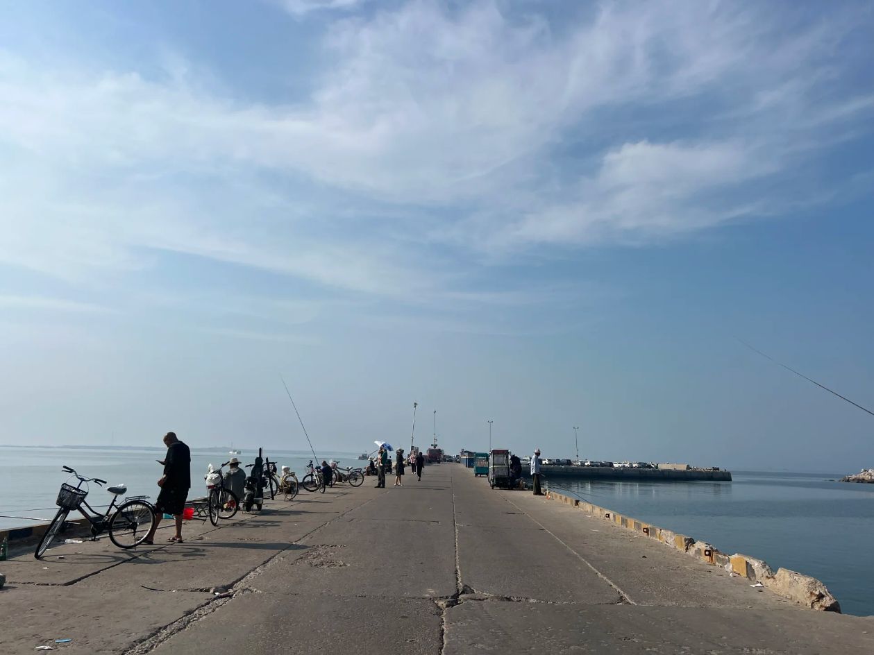 桑岛旅行图片 2