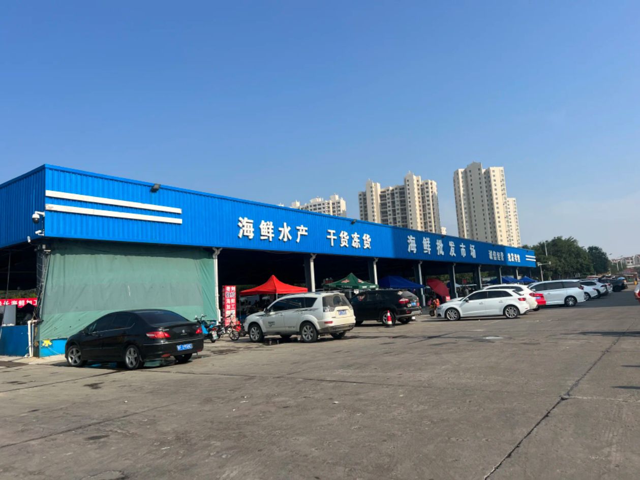 桑岛旅行图片 3