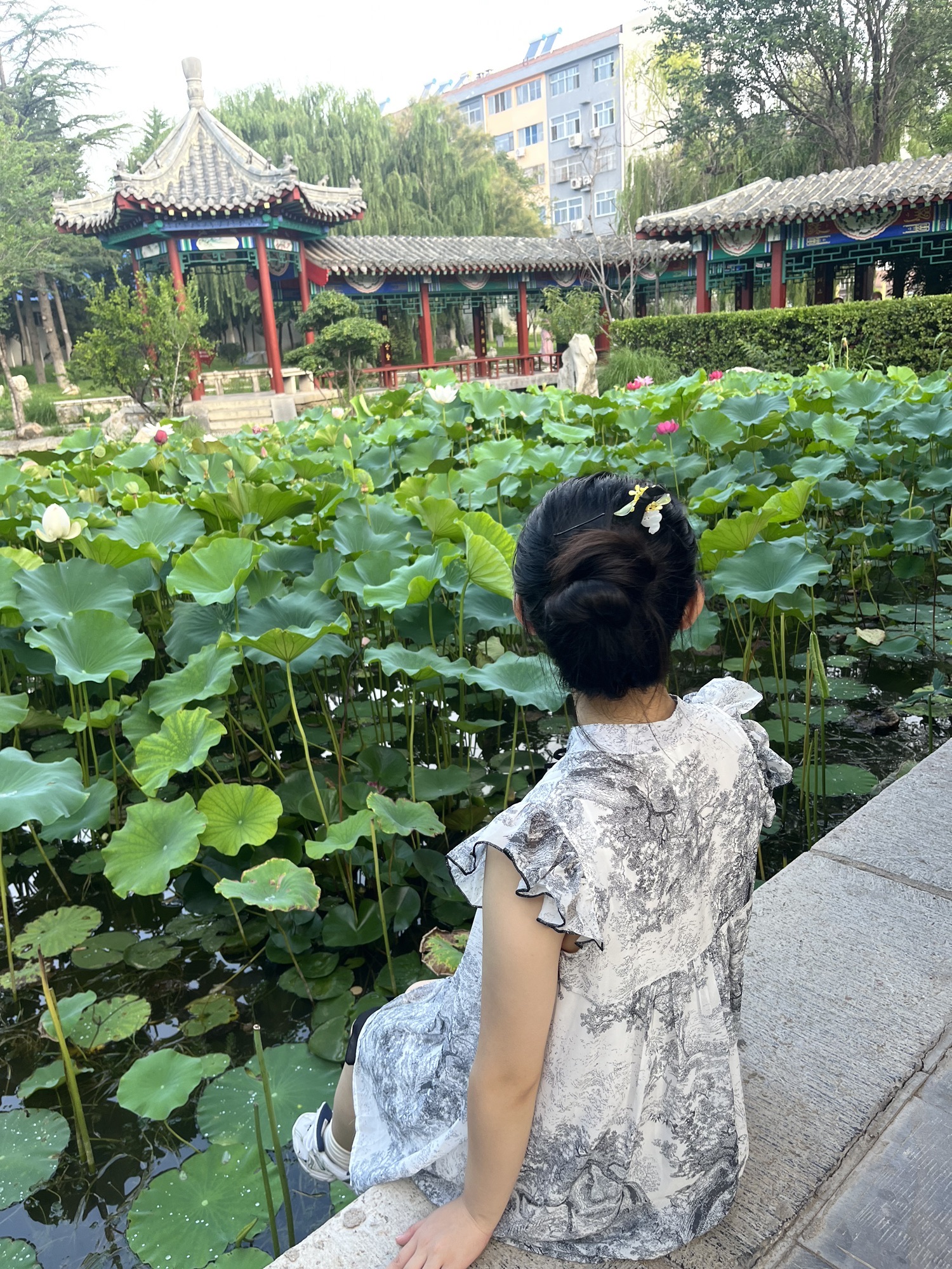 自怡园旅行图片 2