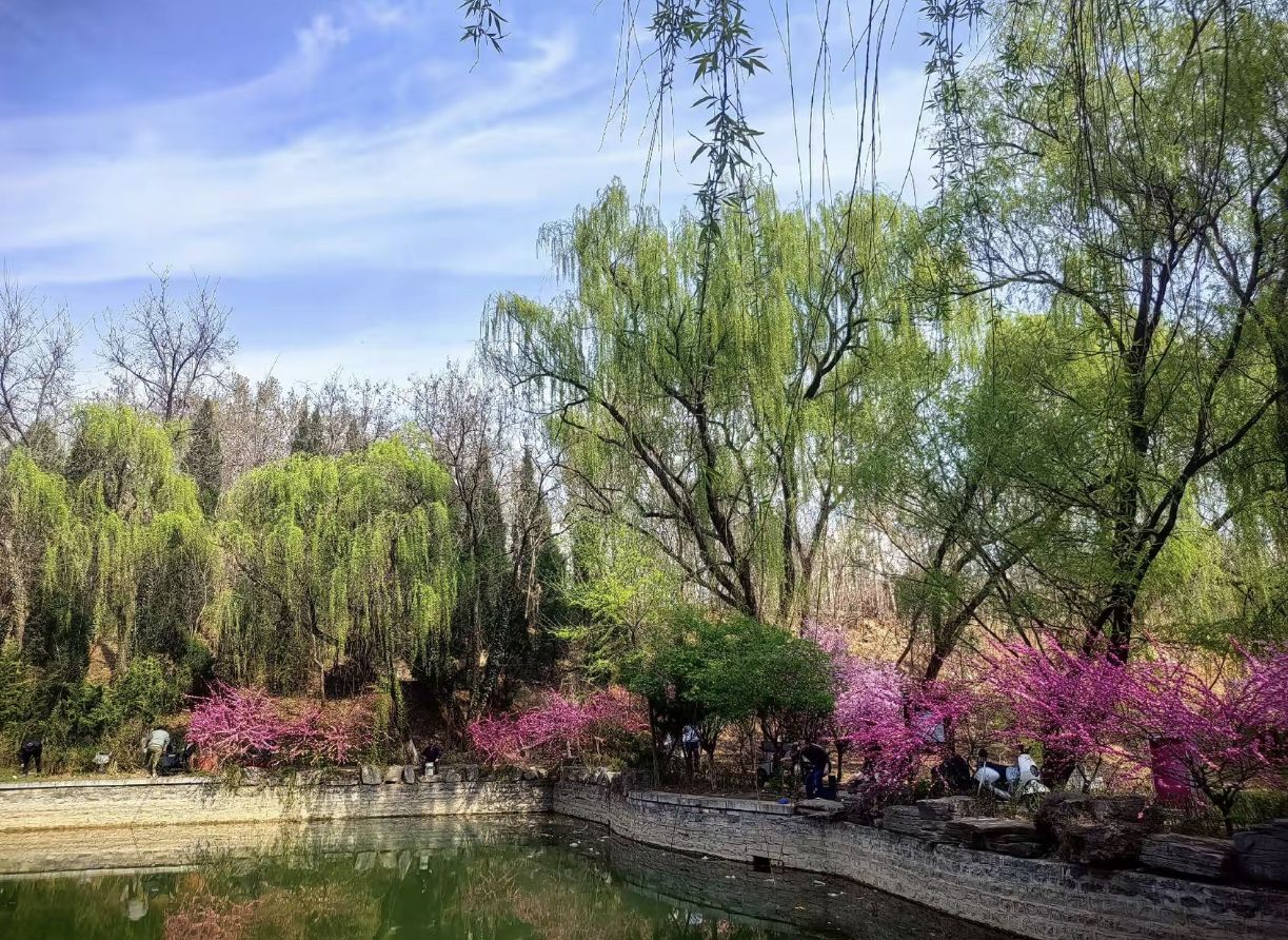 南阳湖旅行图片 1