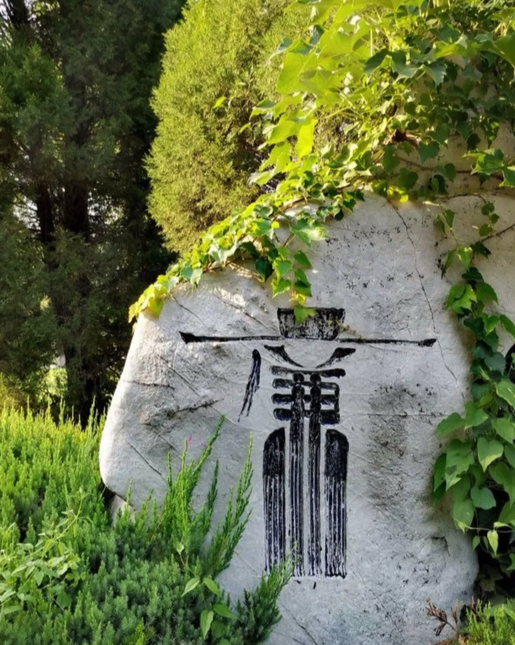南阳湖旅行图片 1