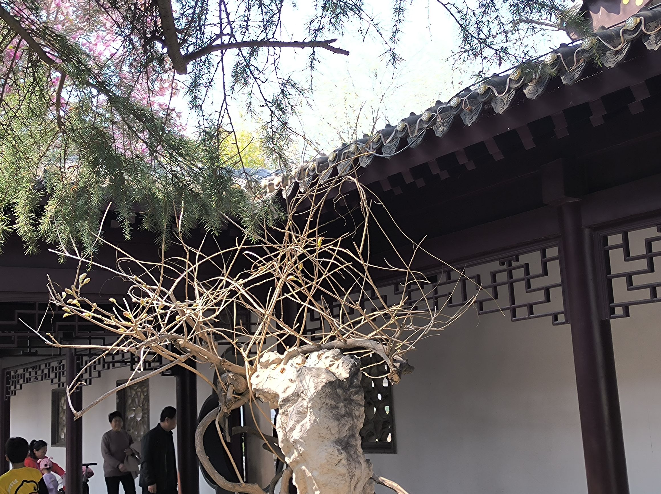 潍坊人民公园旅行图片 2
