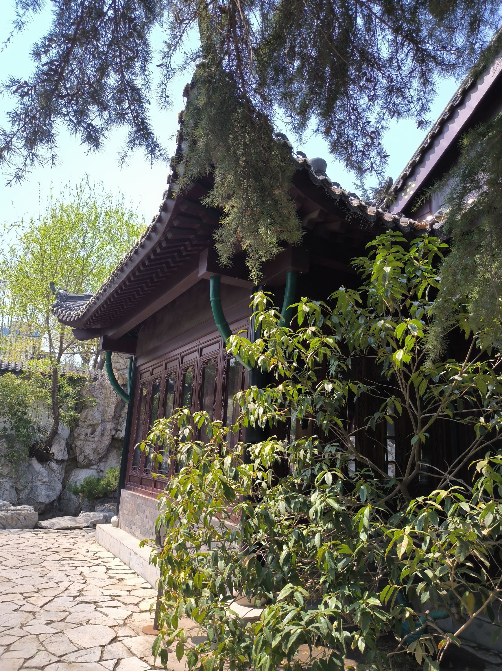 潍坊人民公园旅行图片 1