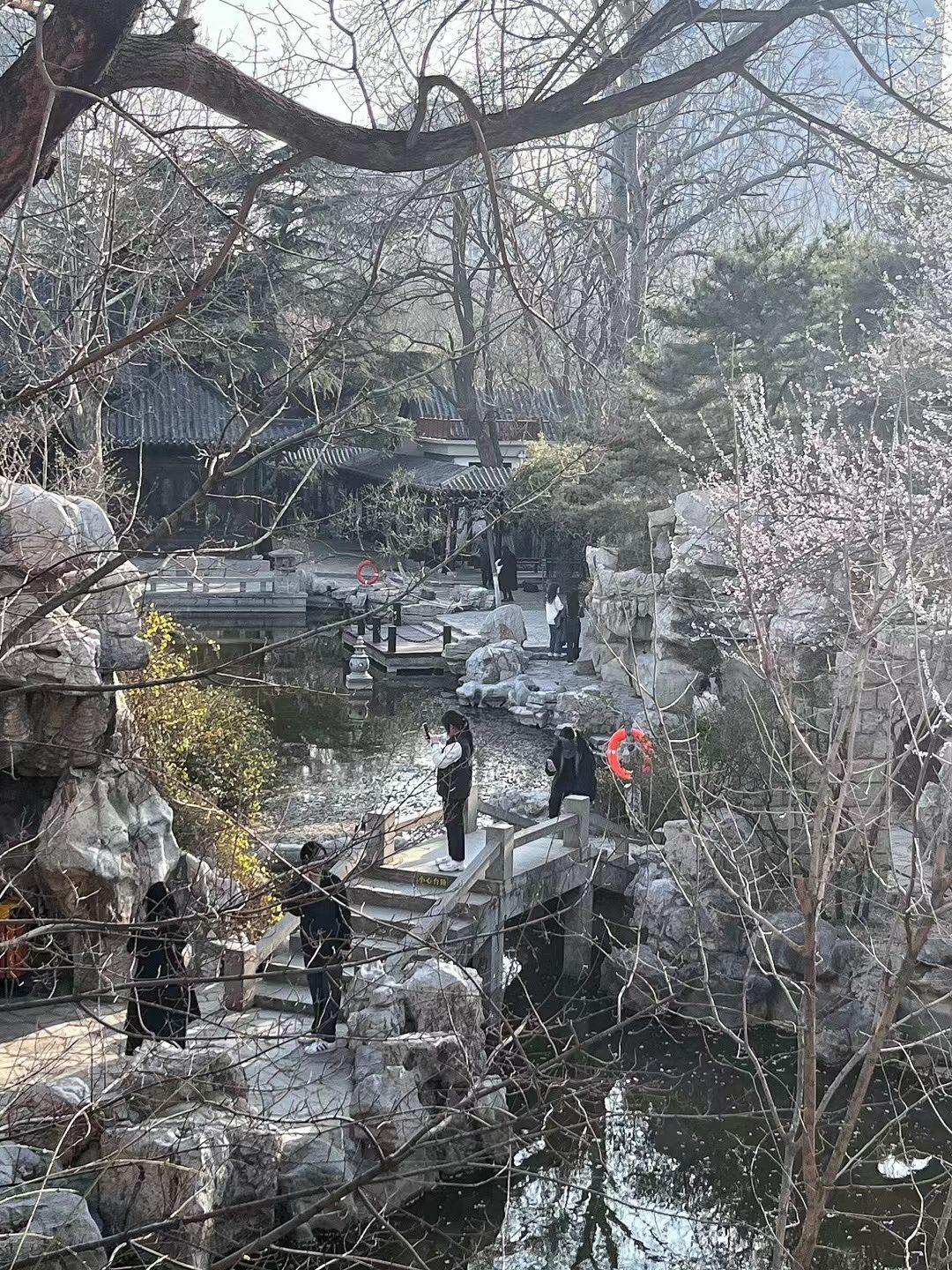 潍坊人民公园旅行图片 3