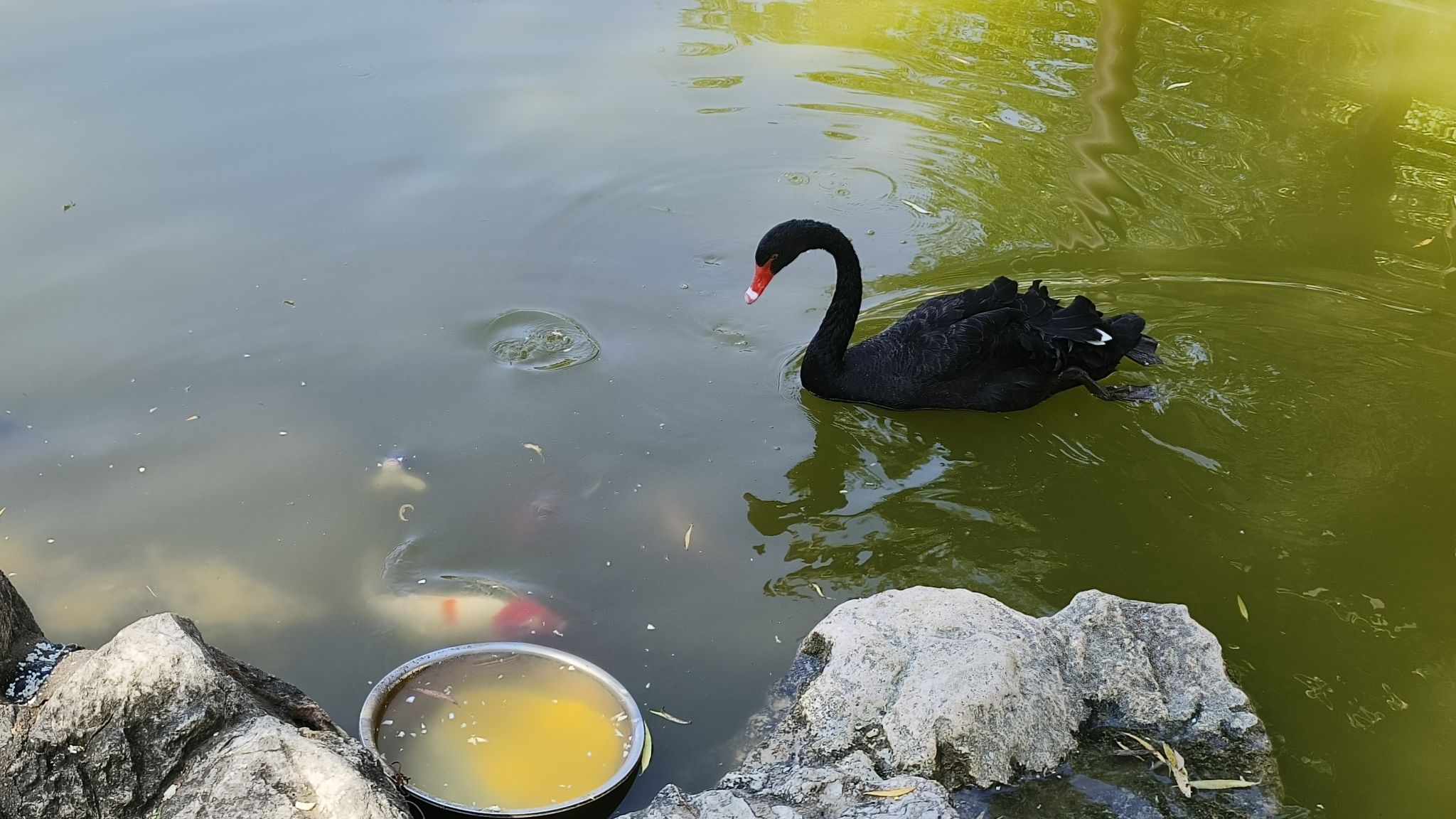 潍坊人民公园旅行图片