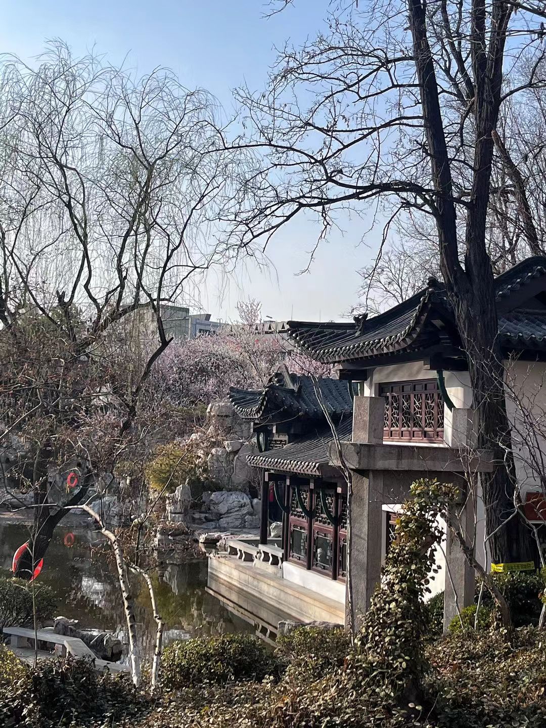 潍坊人民公园旅行图片 1