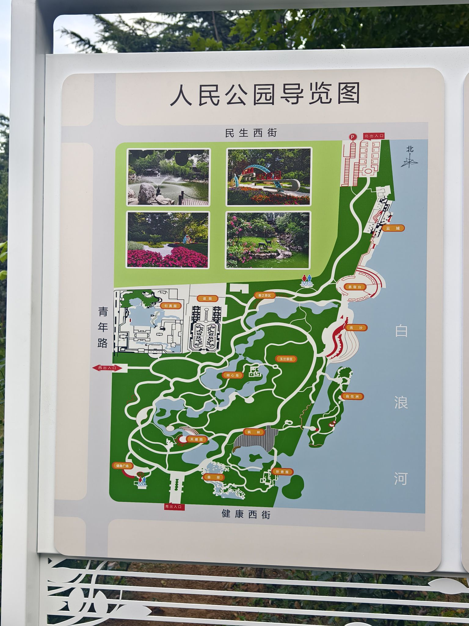 潍坊人民公园旅行图片 2