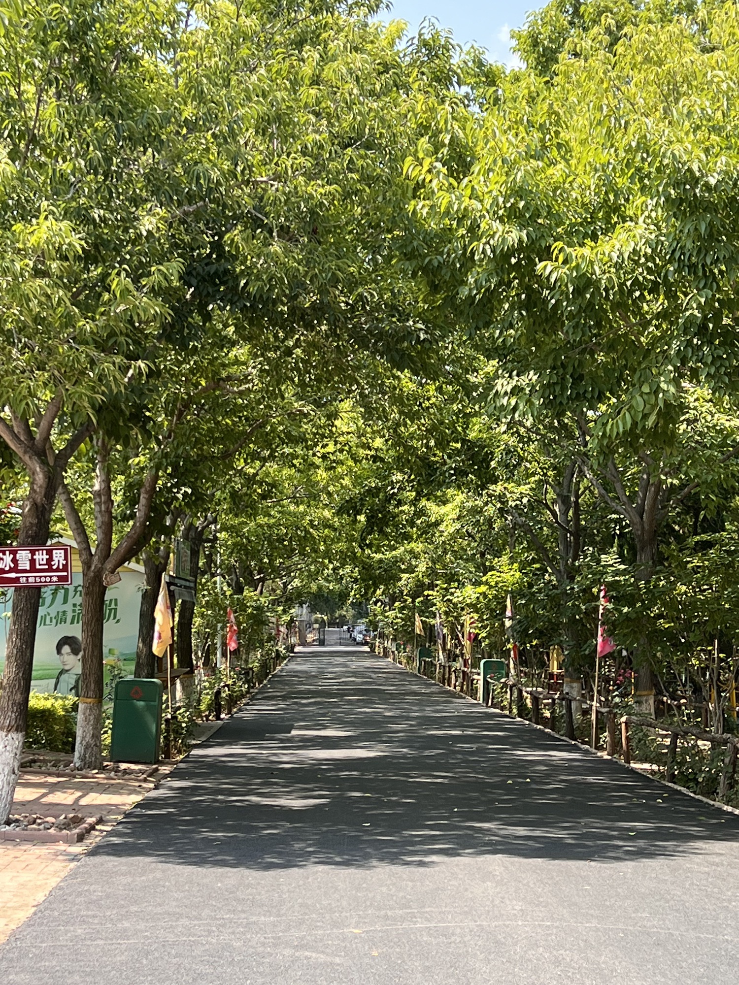 金宝乐园旅行图片 3