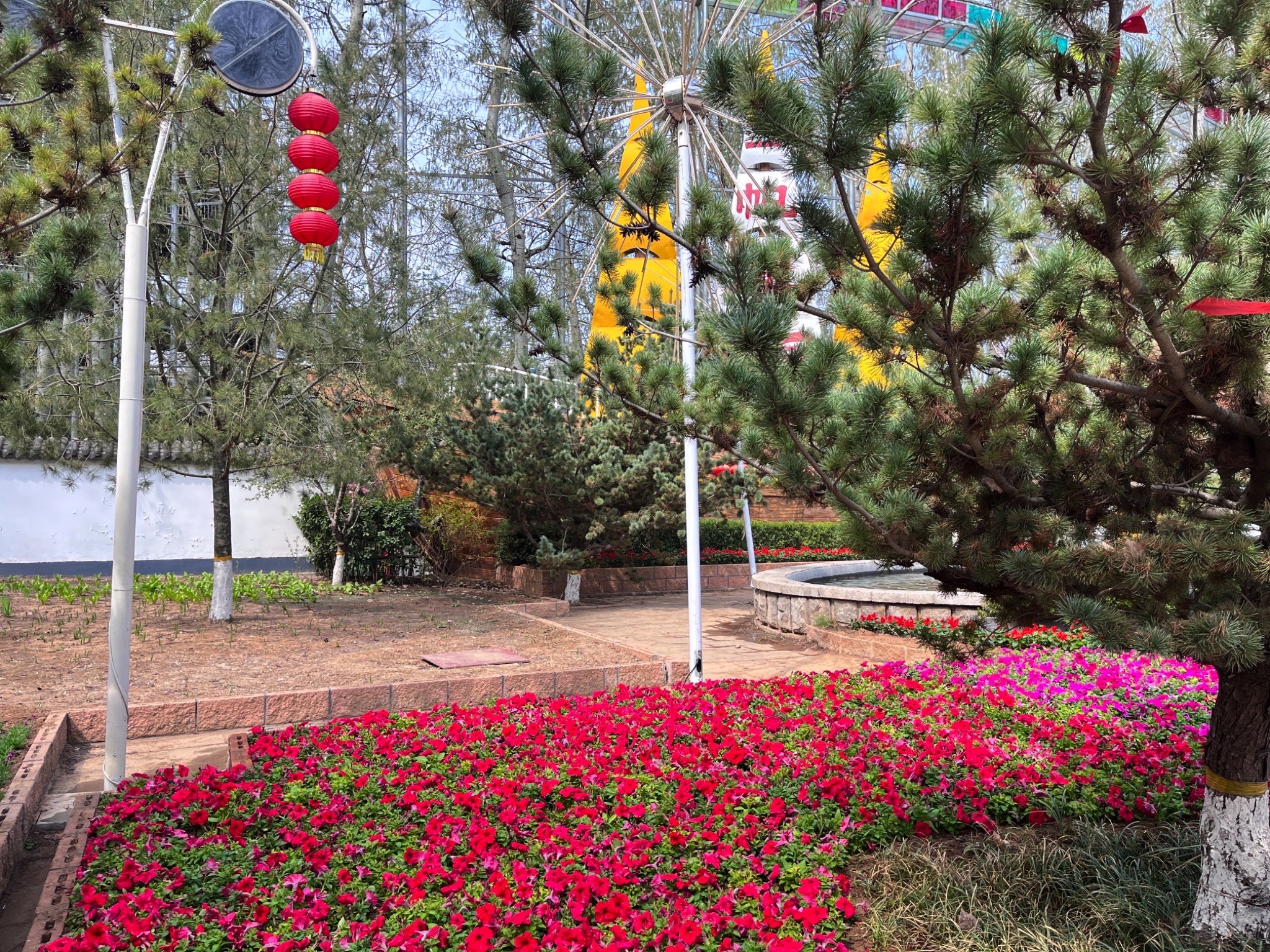 金宝乐园旅行图片 1