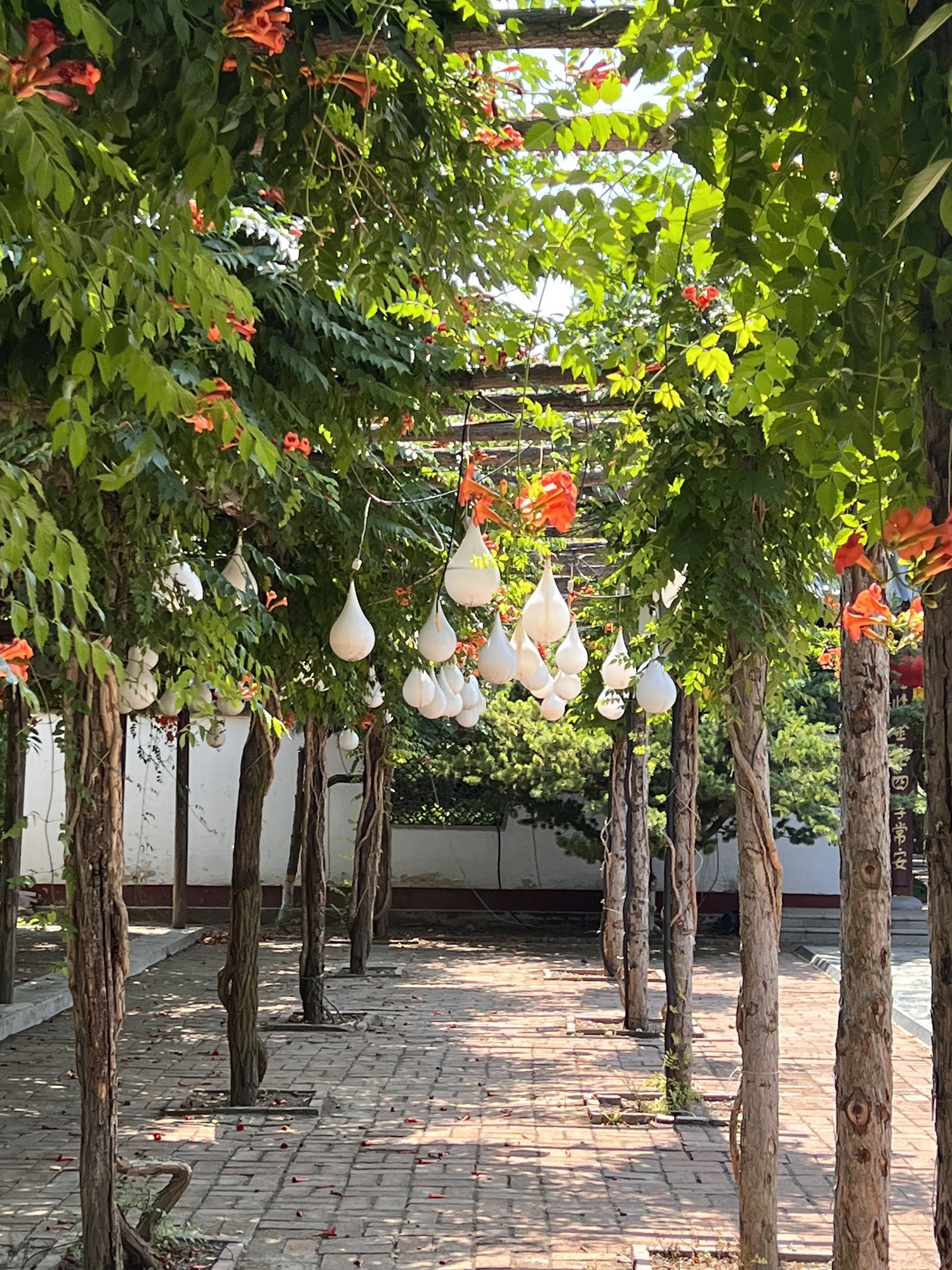 金宝乐园旅行图片 2