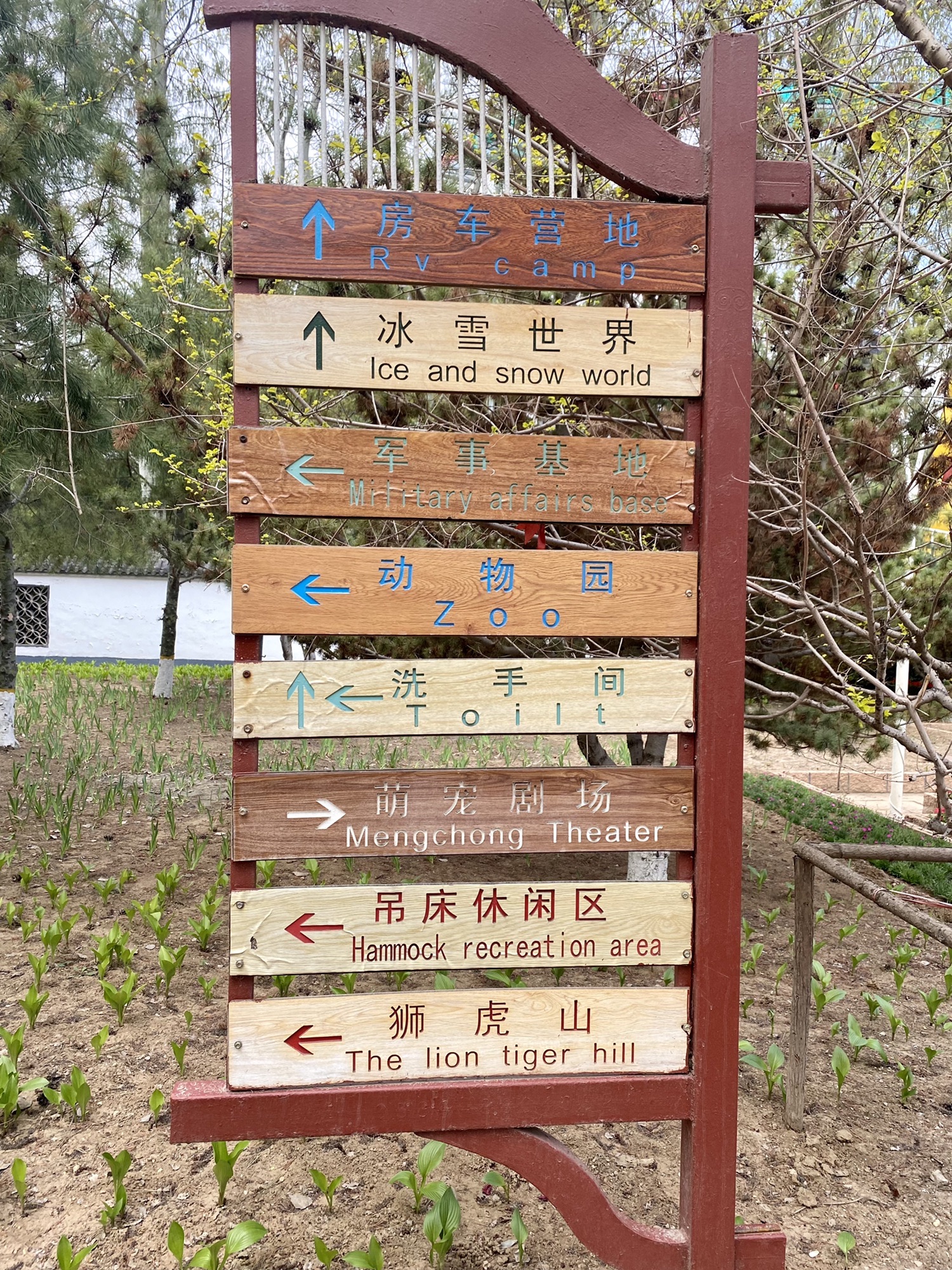 金宝乐园旅行图片 3