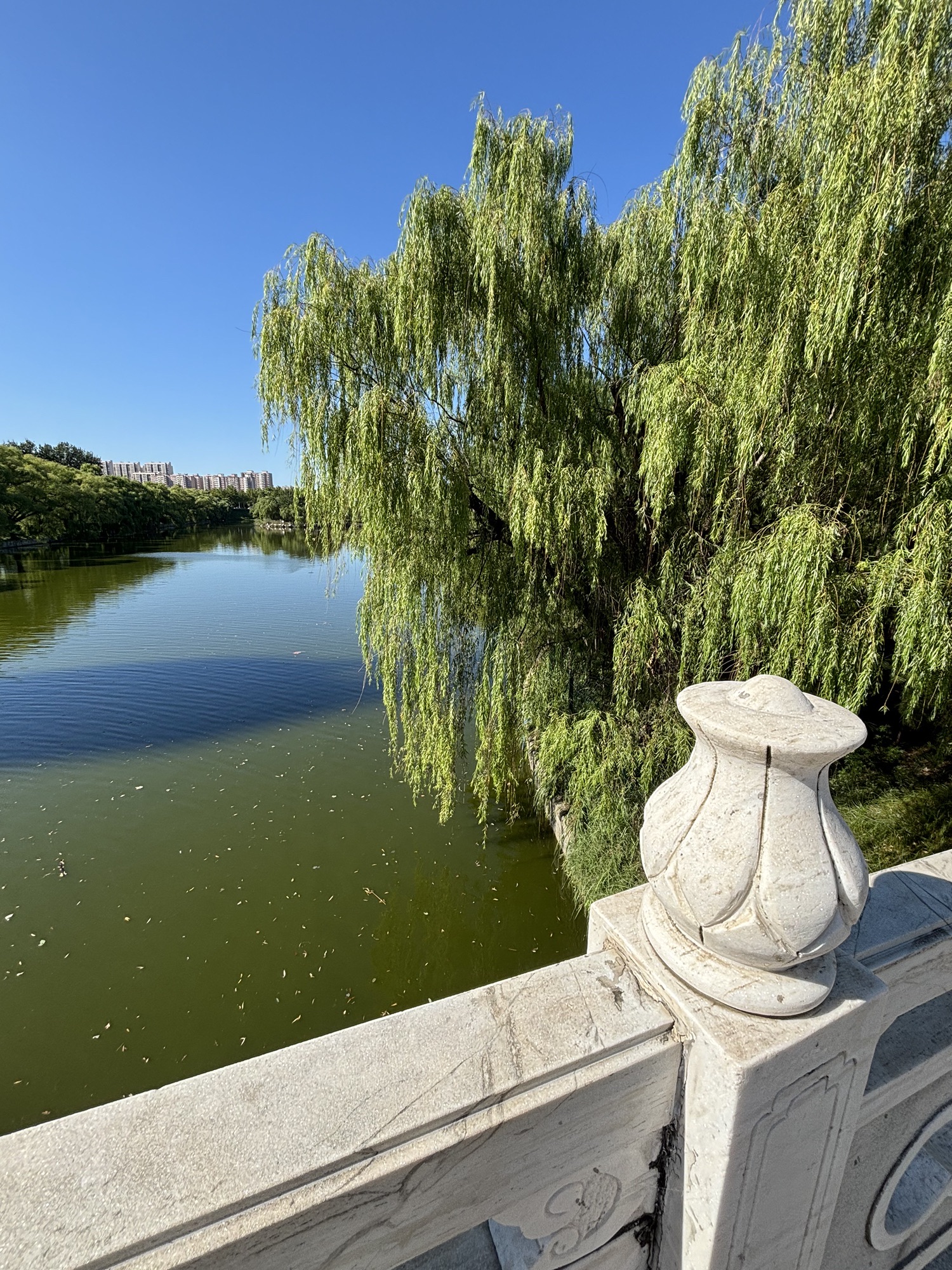 恐龙公园旅行图片 1