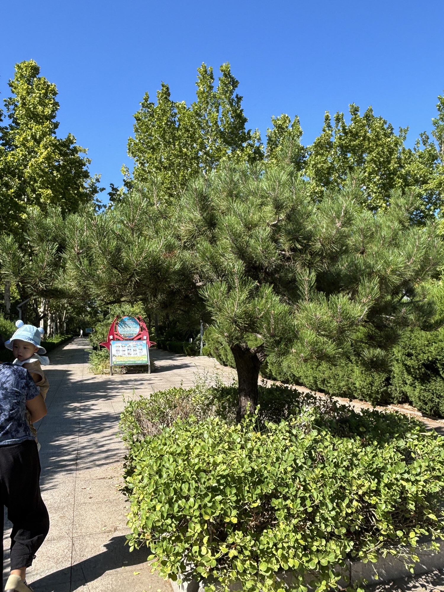 恐龙公园旅行图片 2