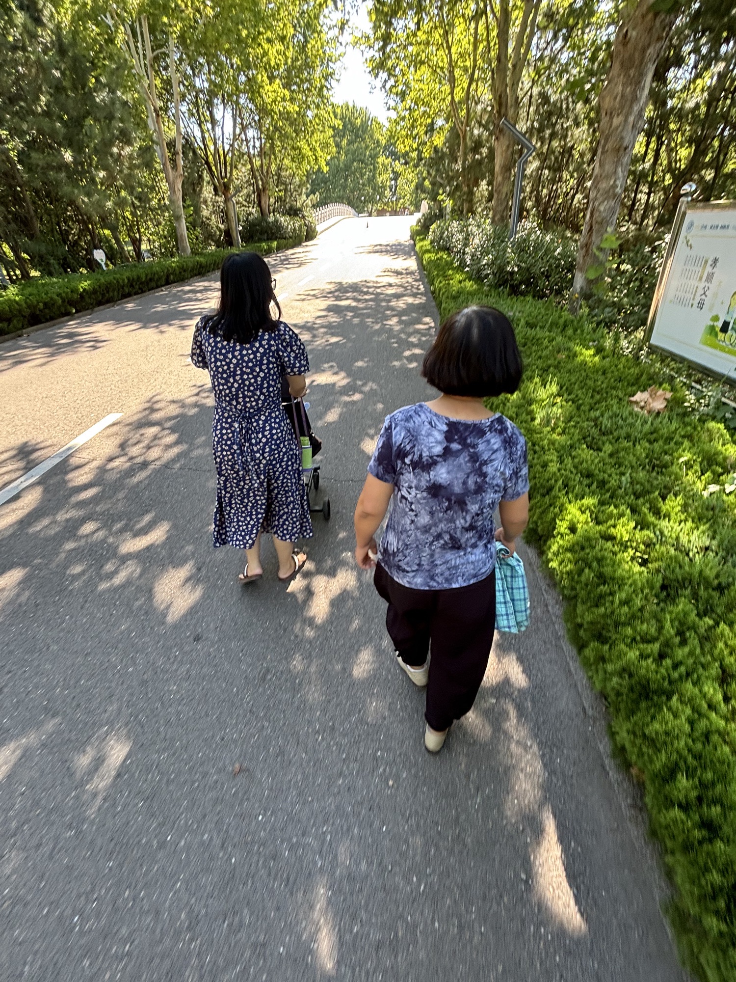 恐龙公园旅行图片 2