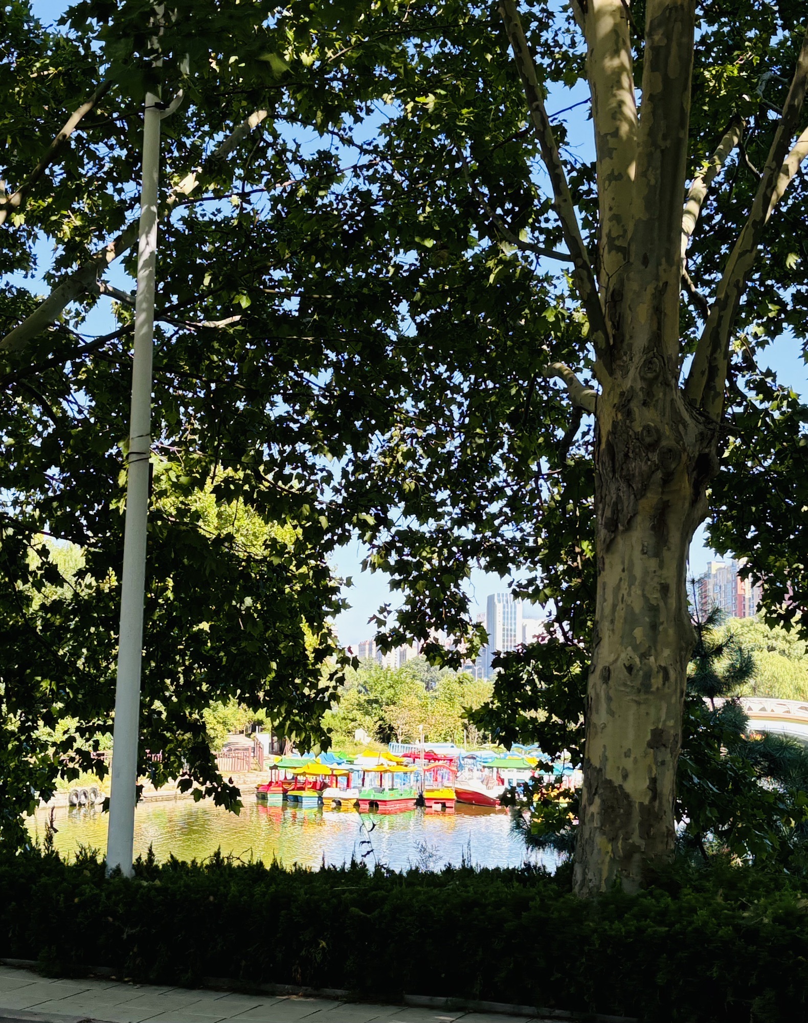 恐龙公园旅行图片 2