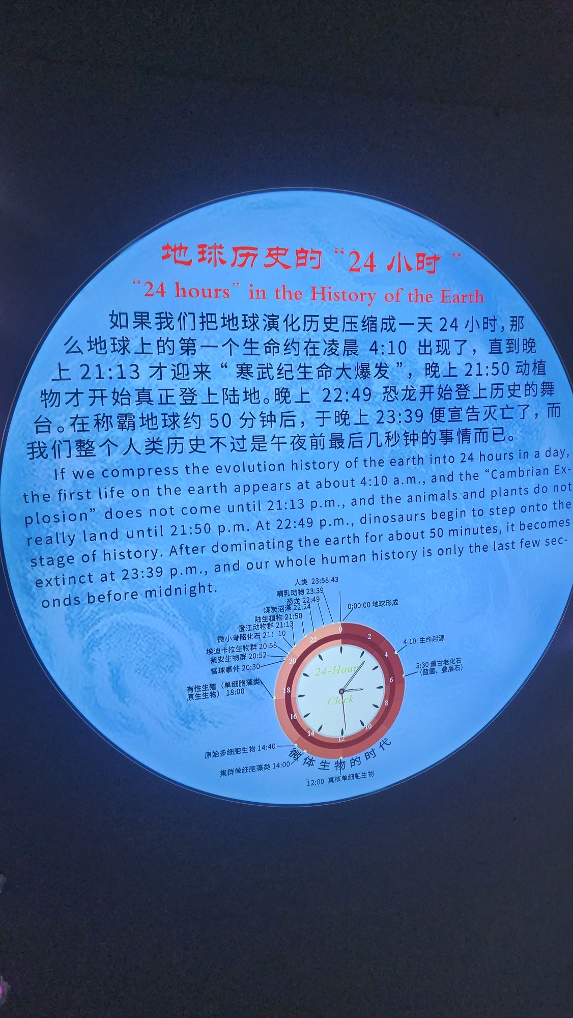 恐龙公园旅行图片 3