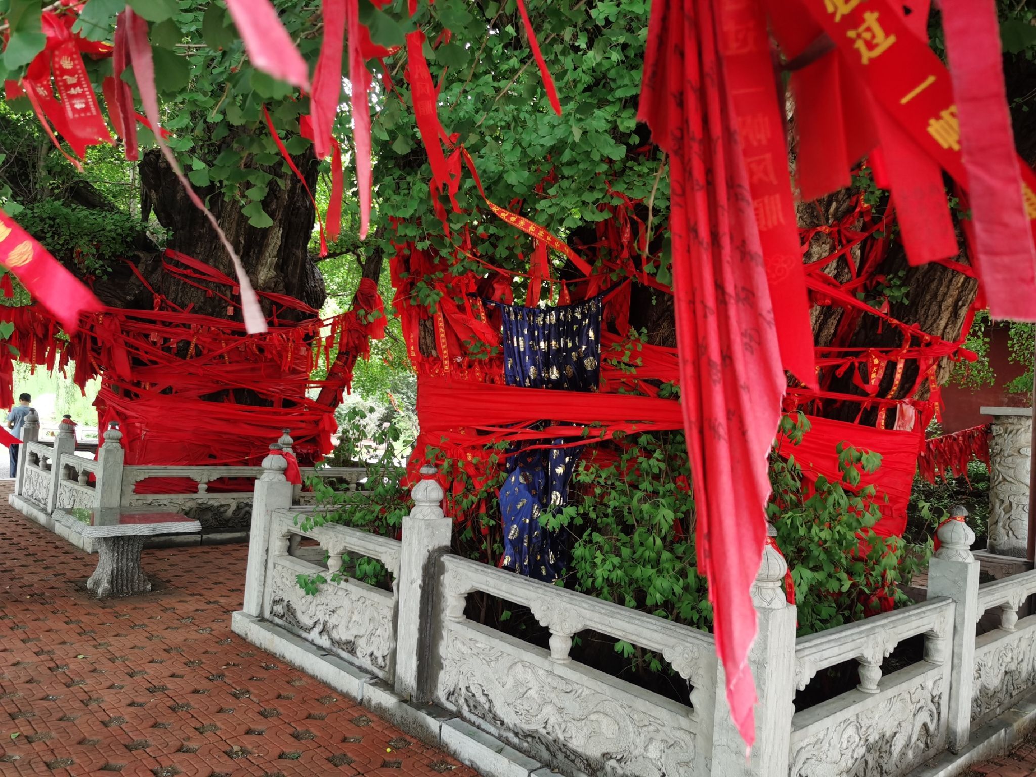 公冶长书院旅行图片 1