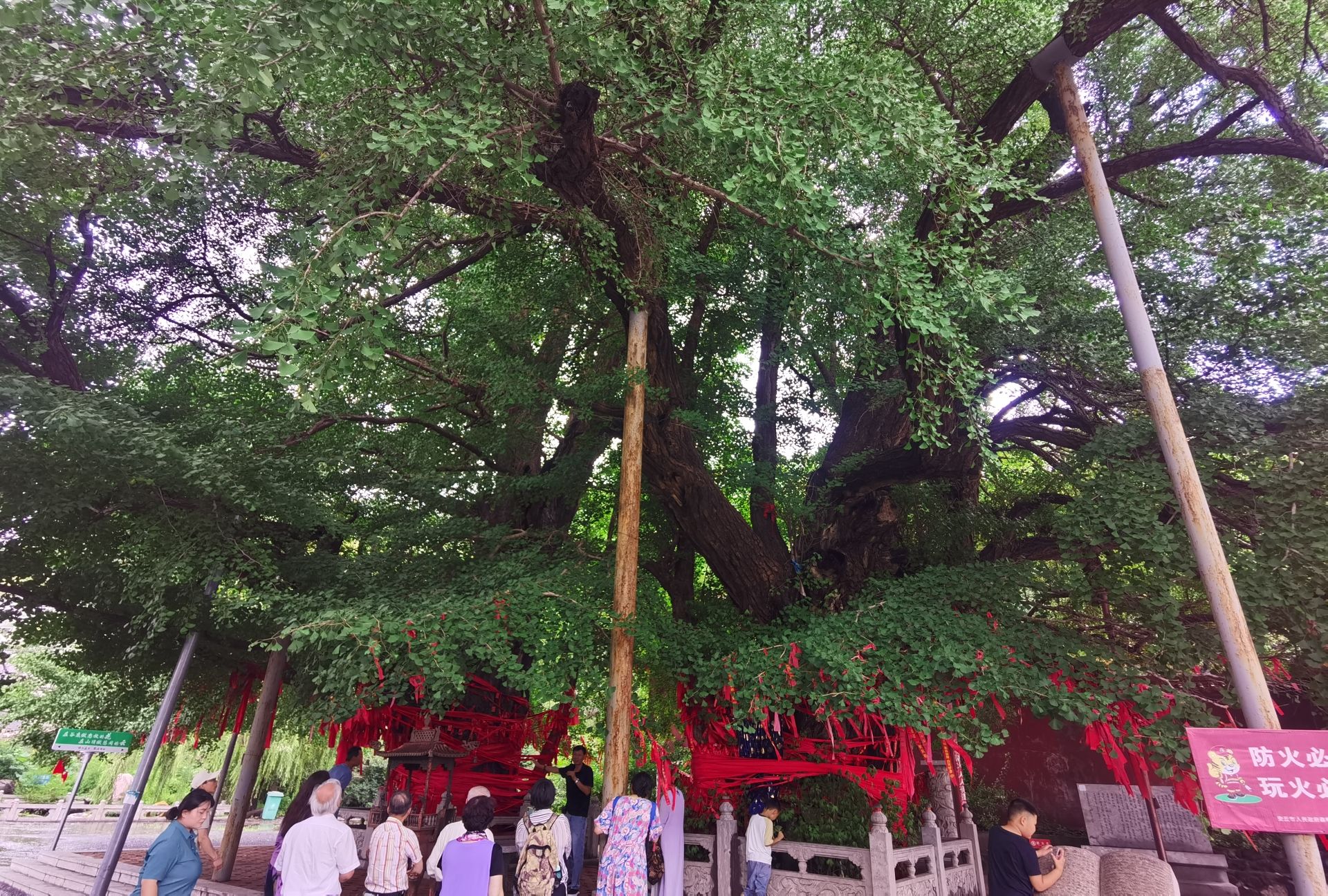 公冶长书院旅行图片 2