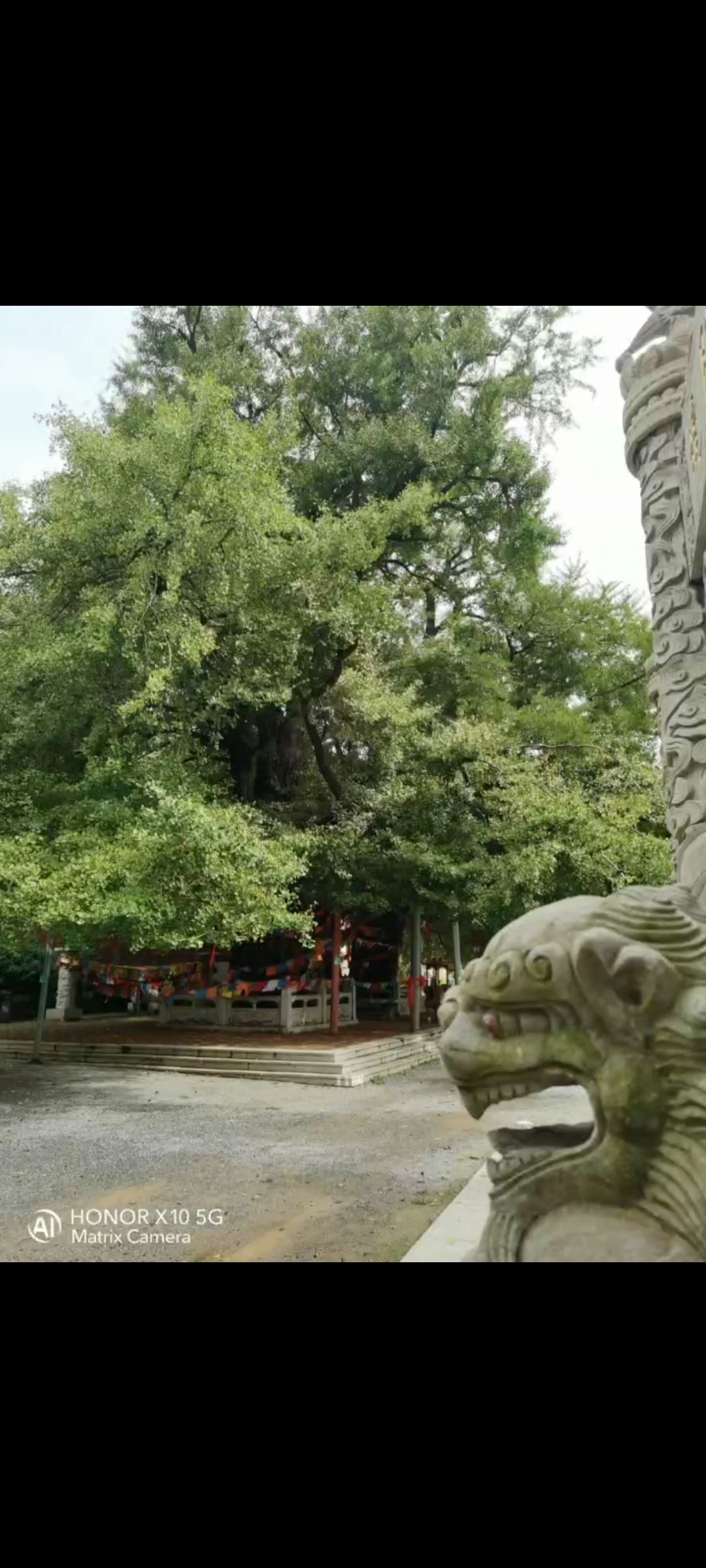 公冶长书院旅行图片 2