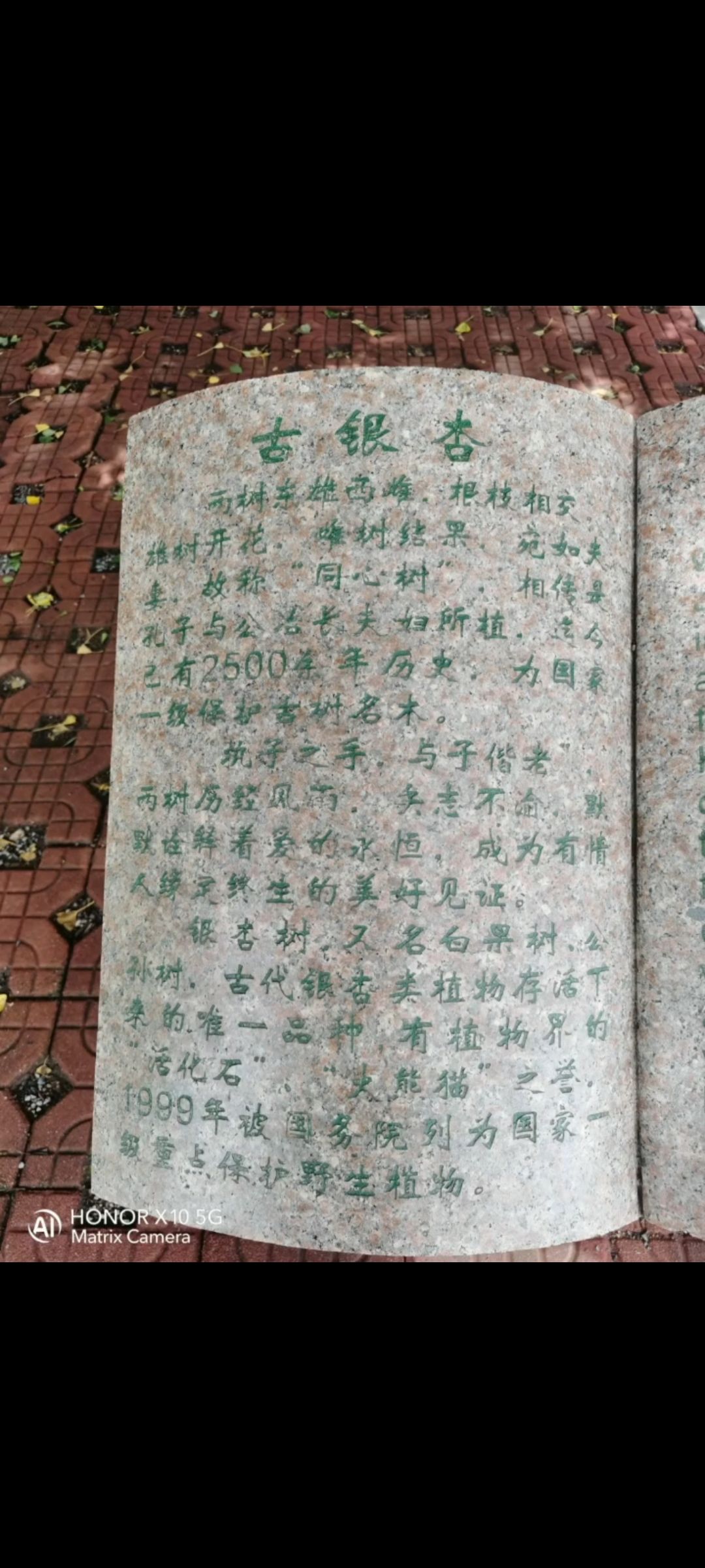 公冶长书院旅行图片 3