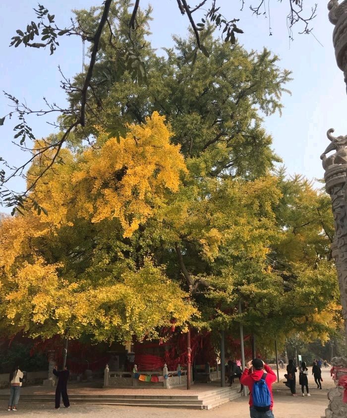 公冶长书院旅行图片 3