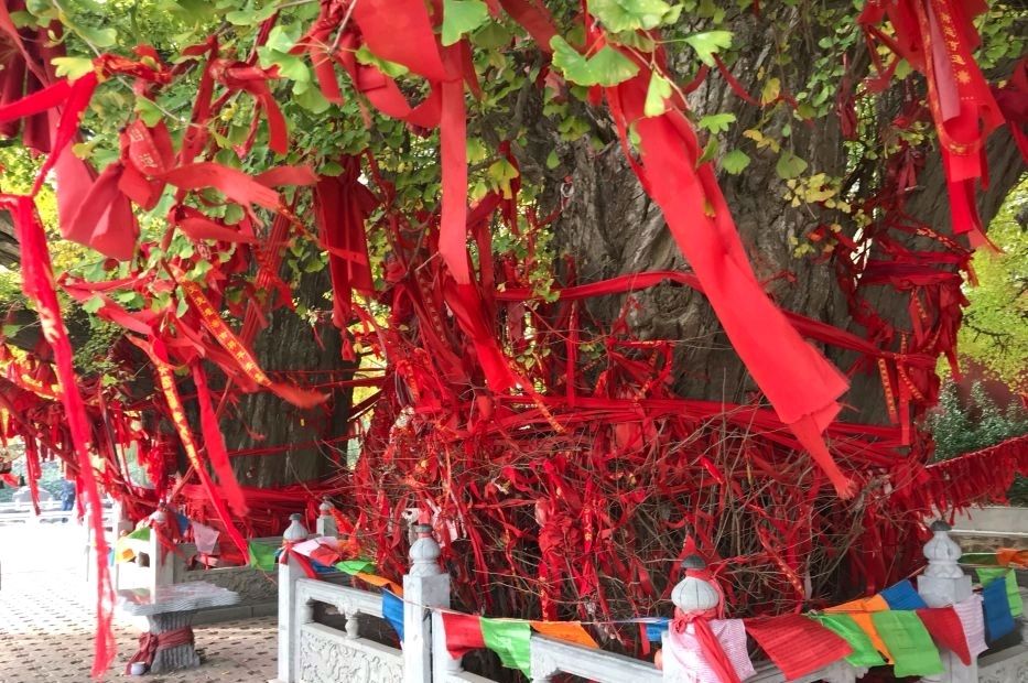 公冶长书院旅行图片 2