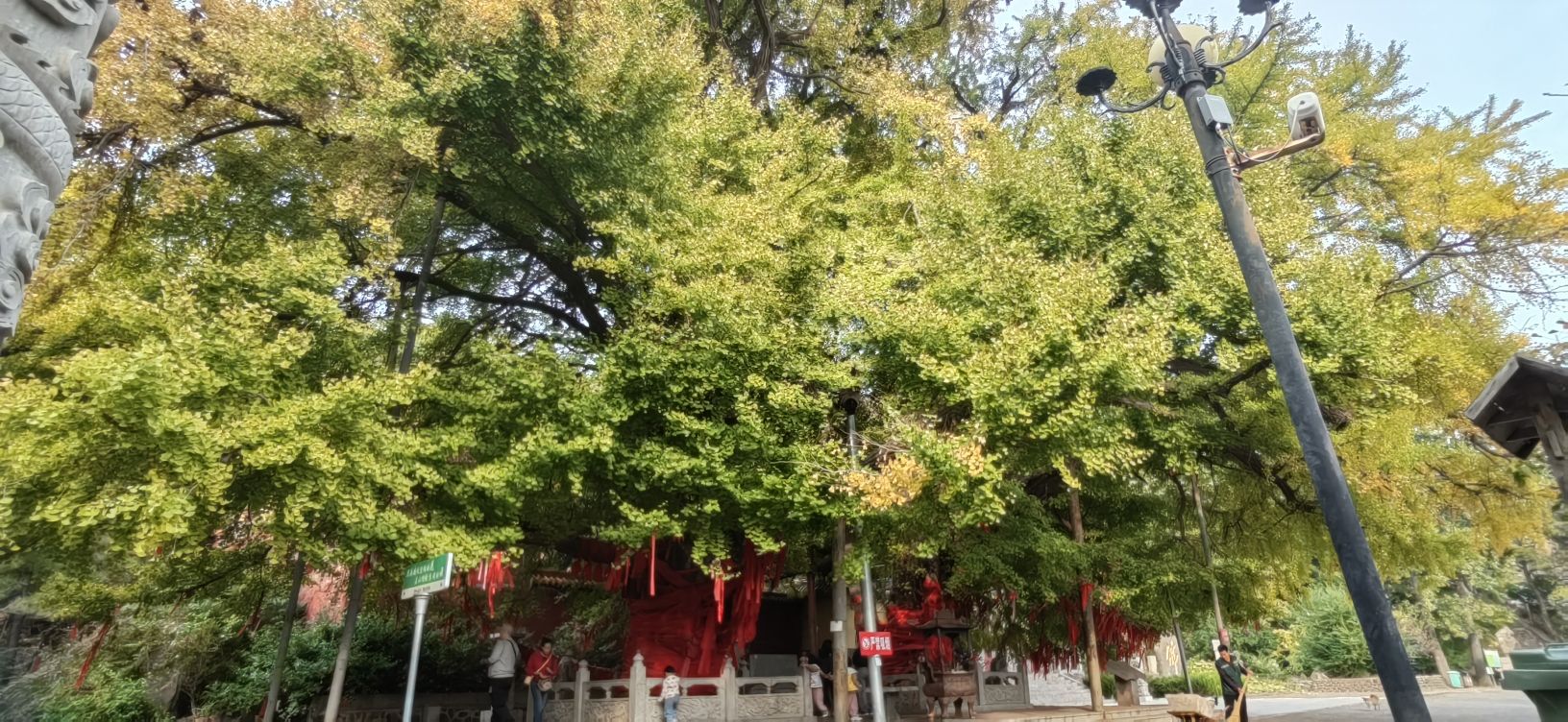 公冶长书院旅行图片 2