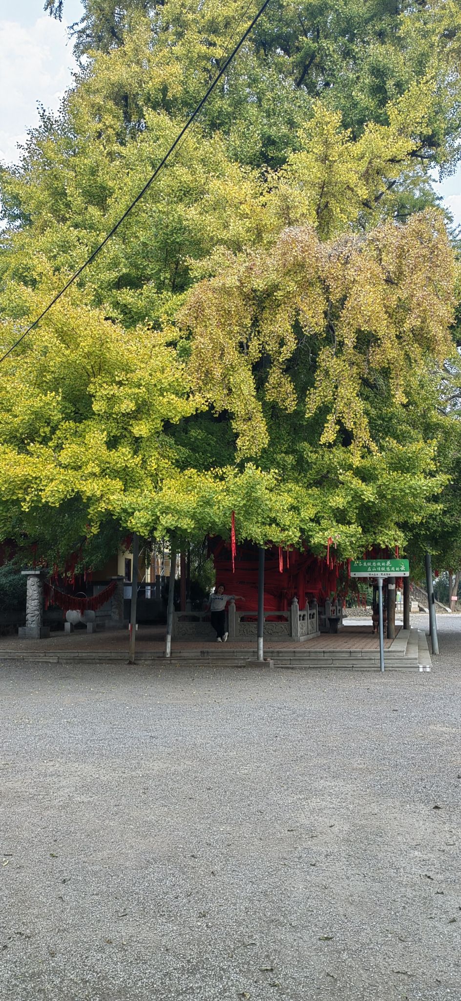 公冶长书院旅行图片 3