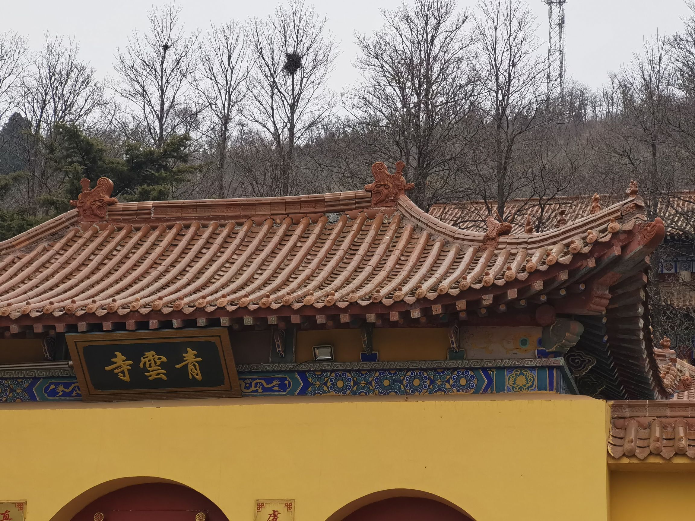 公冶长书院旅行图片 3