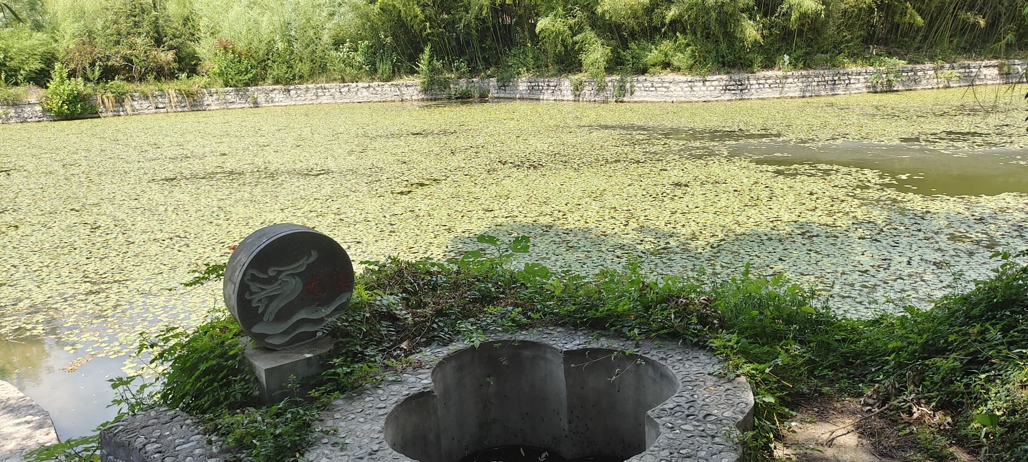 老龙湾风景区旅行图片 1