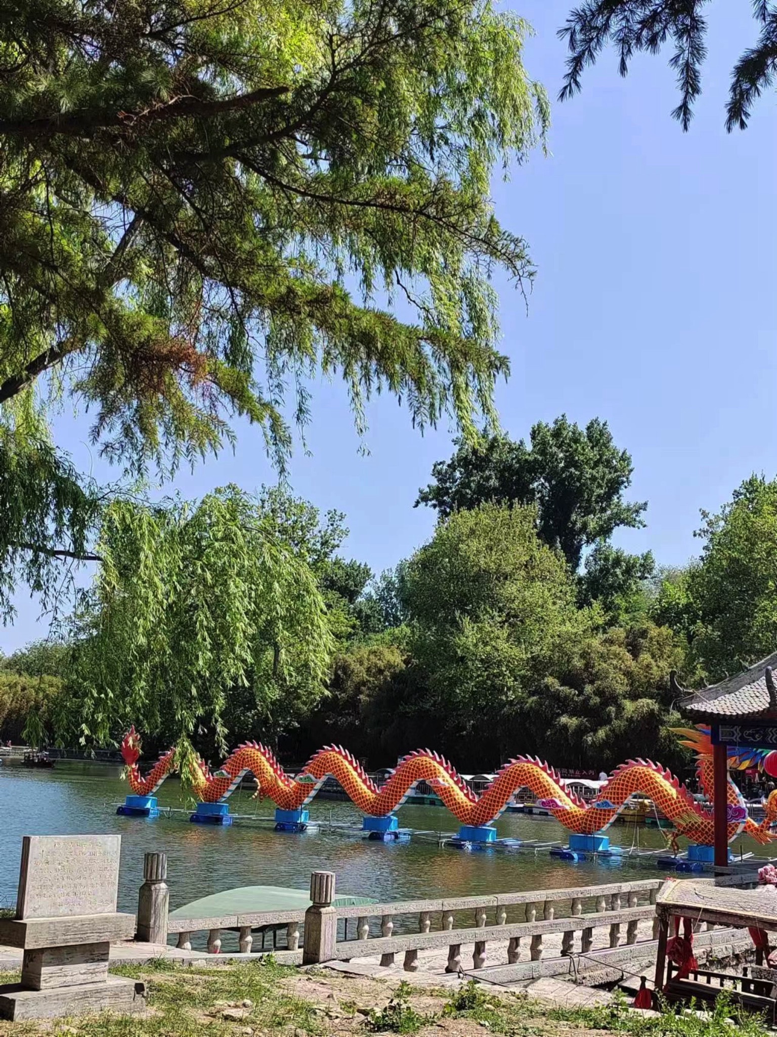 老龙湾风景区旅行图片 1