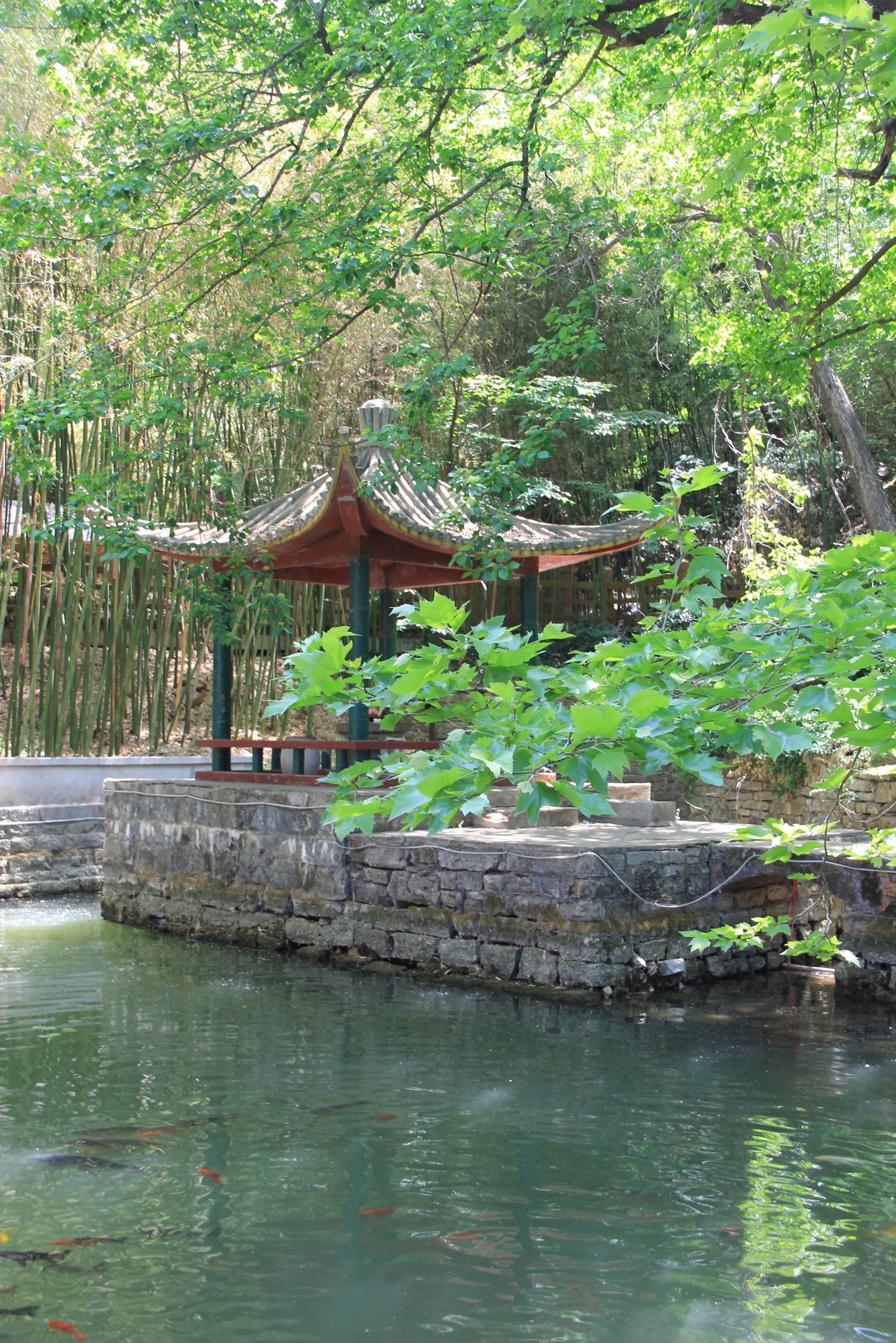 老龙湾风景区旅行图片 3