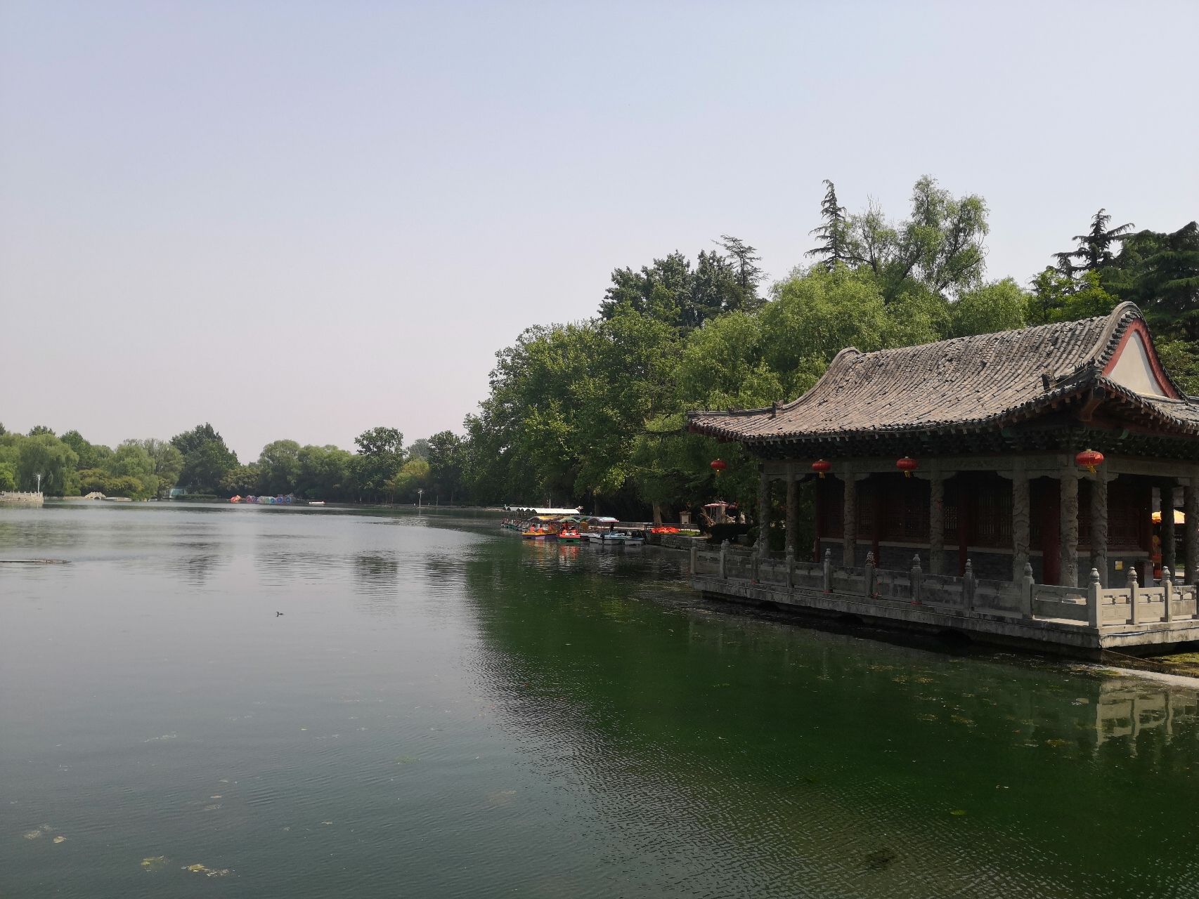 老龙湾风景区旅行图片 2