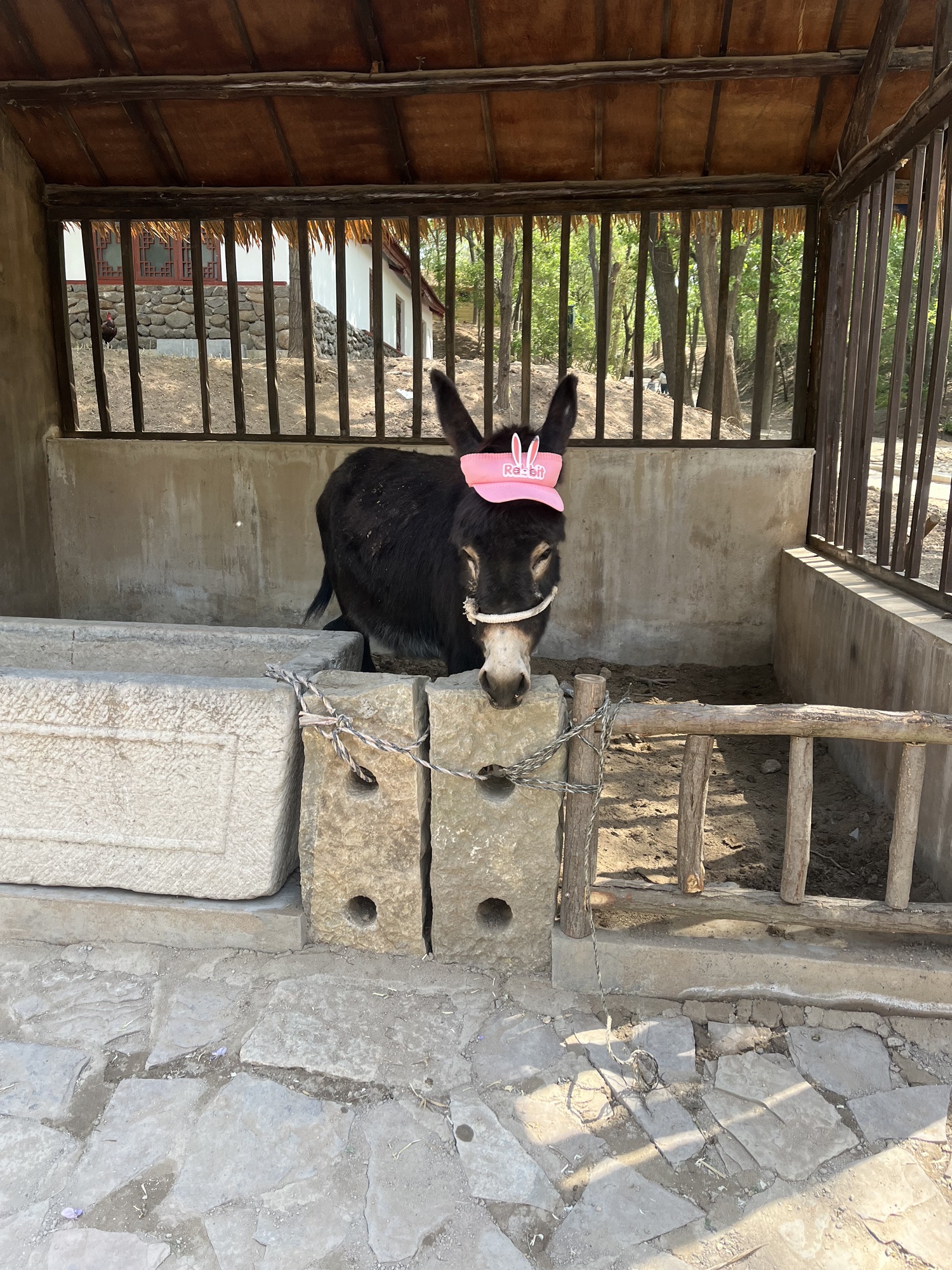 青云山民俗游乐园旅行图片 2