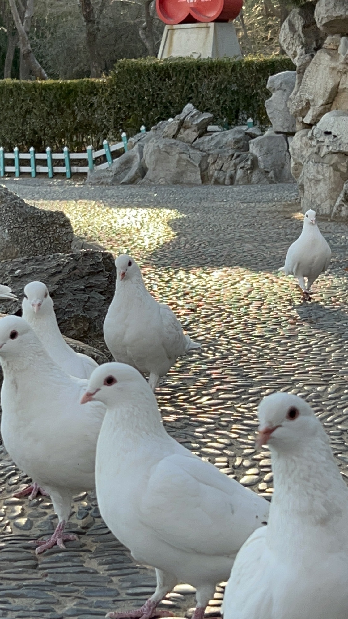 东苑公园旅行图片 2
