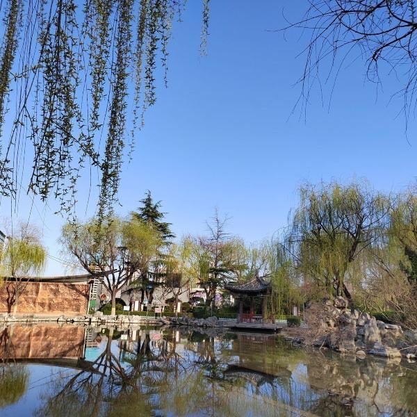东苑公园旅行图片 1