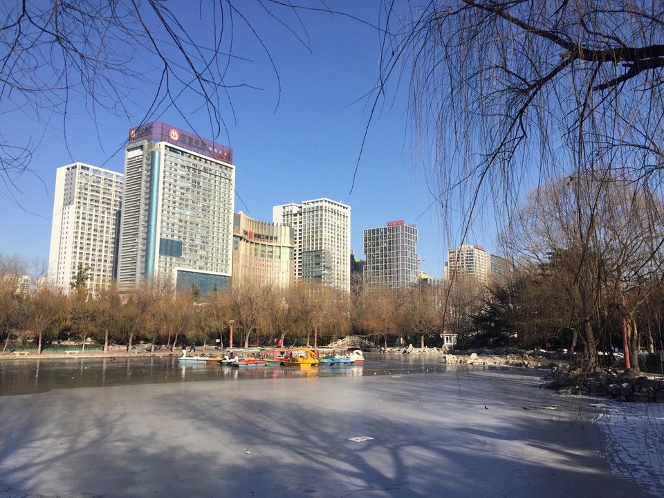 东苑公园旅行图片 3