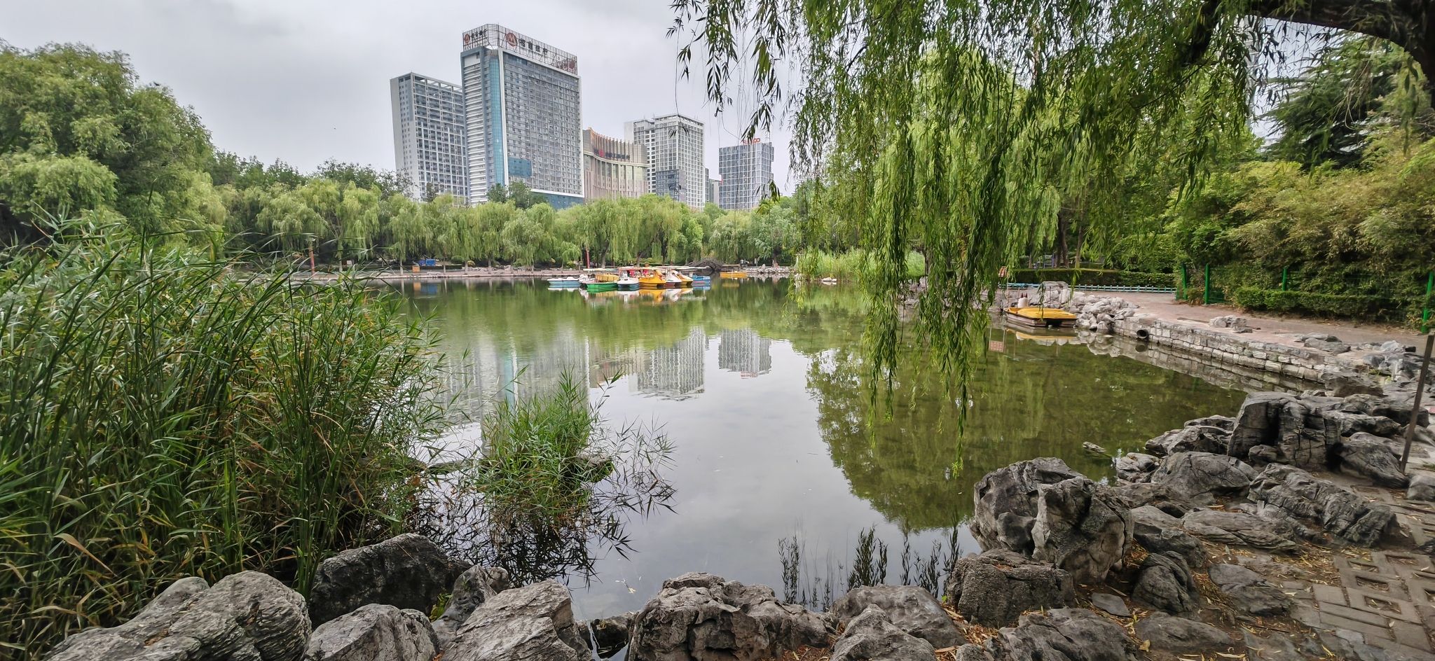 东苑公园