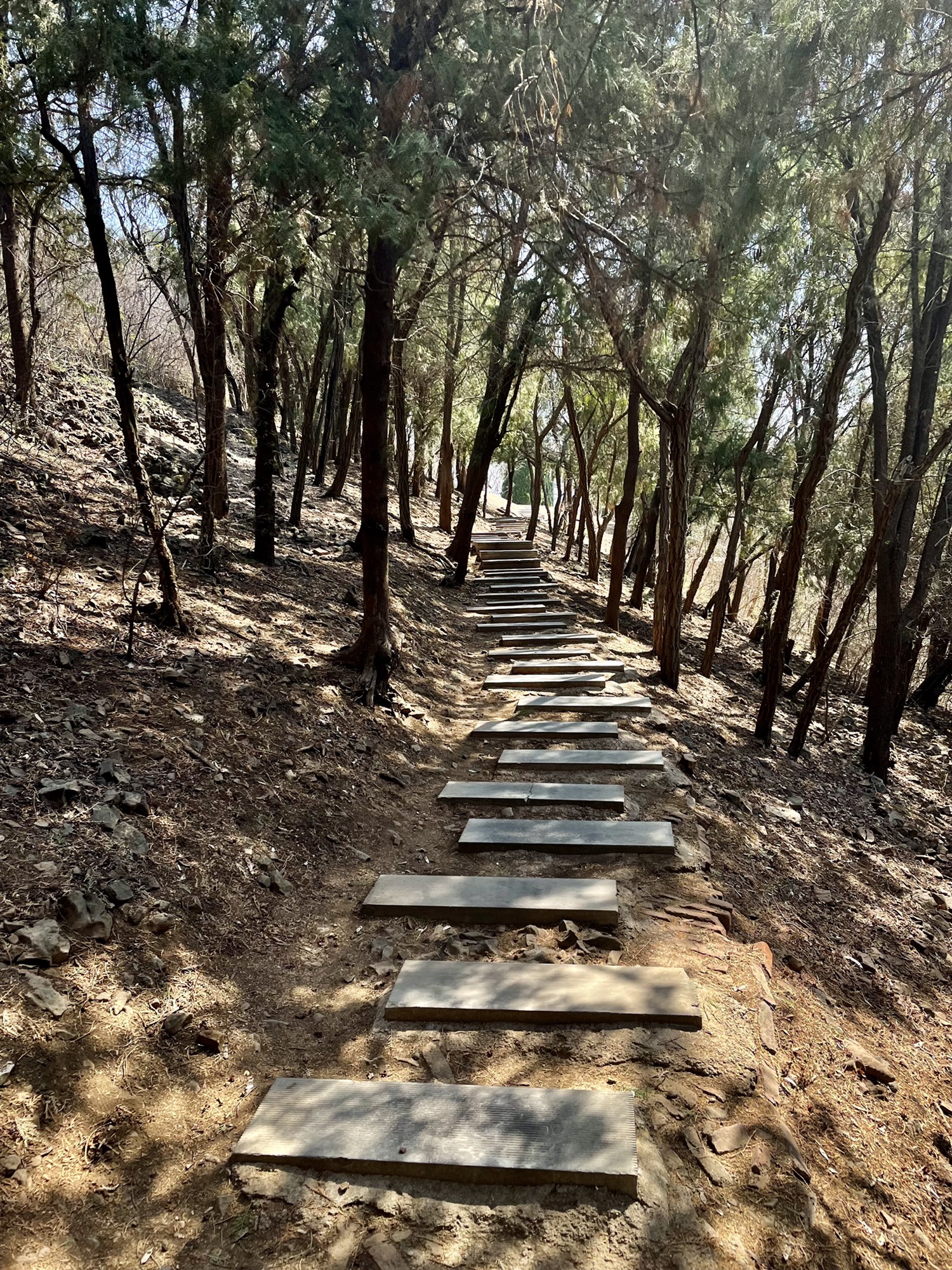 朐山公园旅行图片 1