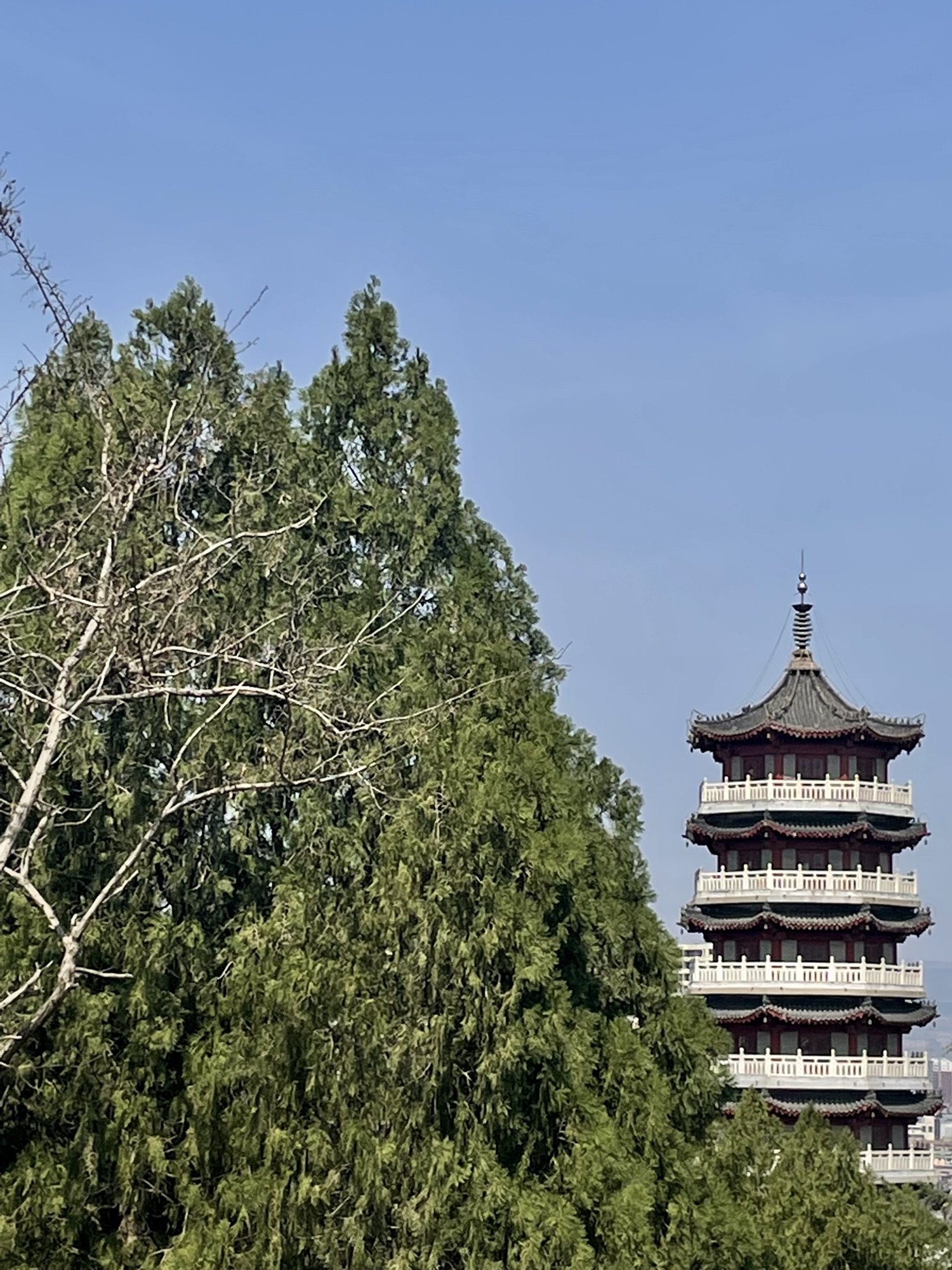 朐山公园旅行图片 3