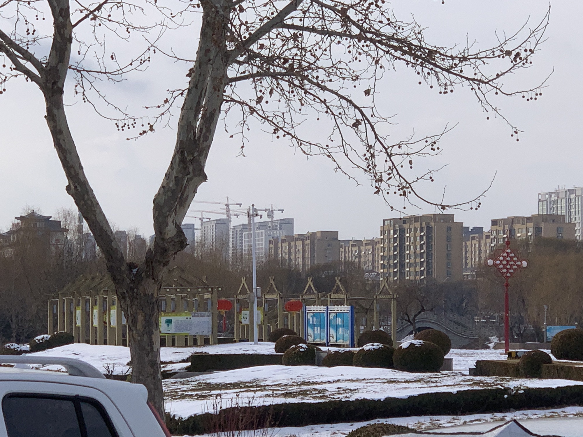 朐山公园旅行图片 3