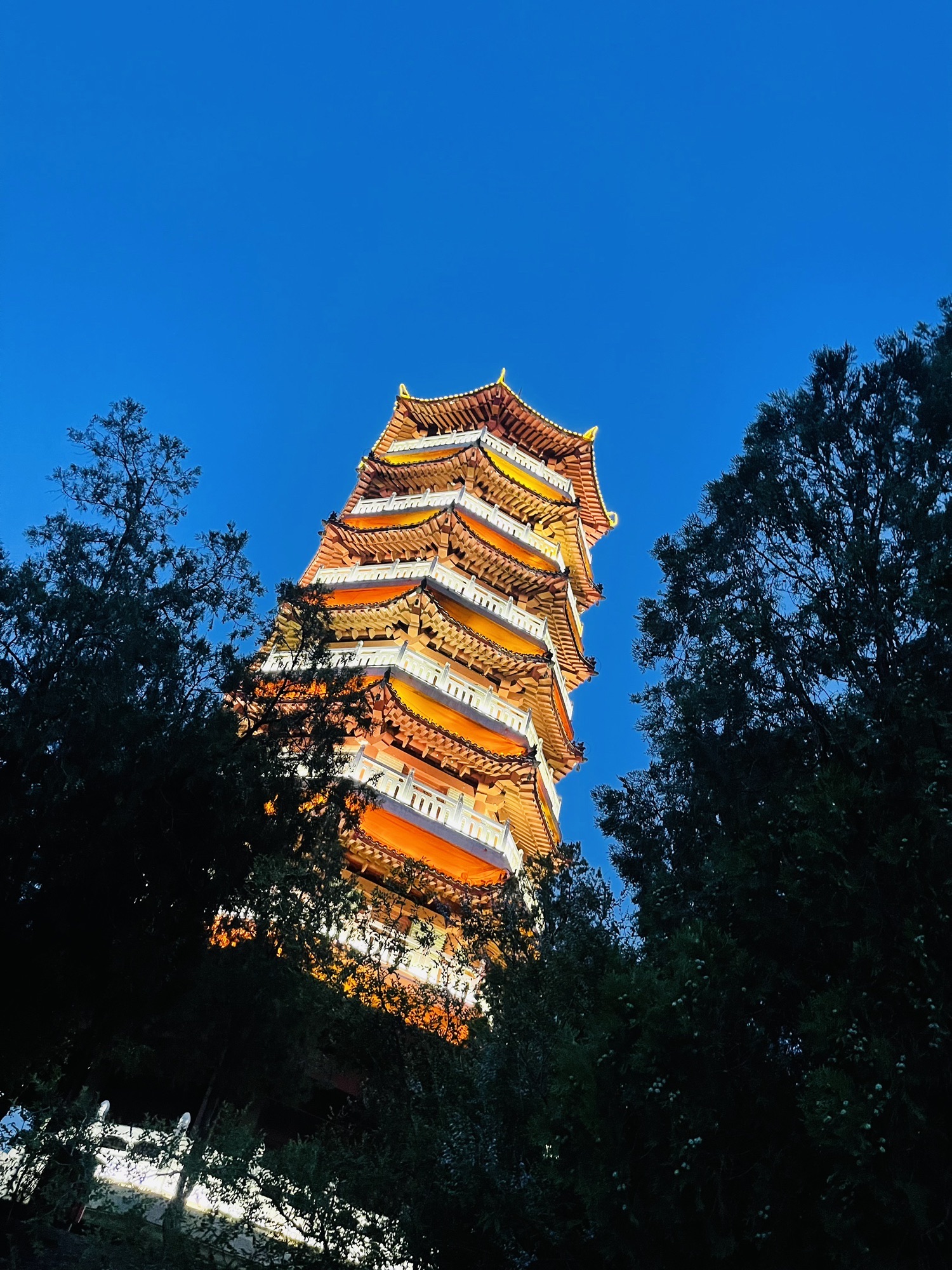 朐山公园旅行图片 1