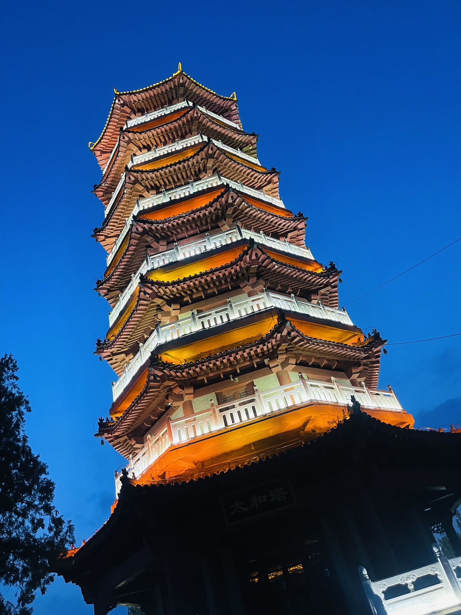 朐山公园旅行图片 2