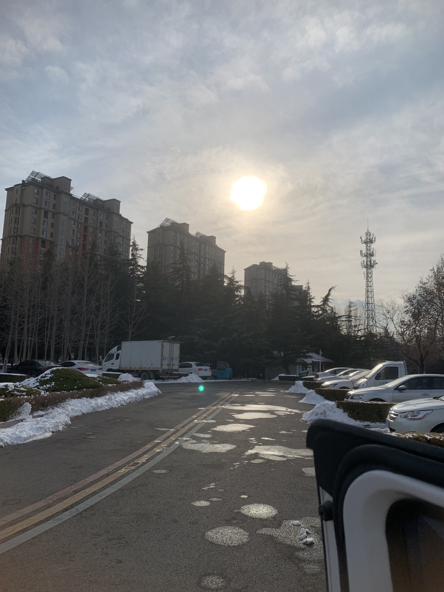 朐山公园旅行图片 1