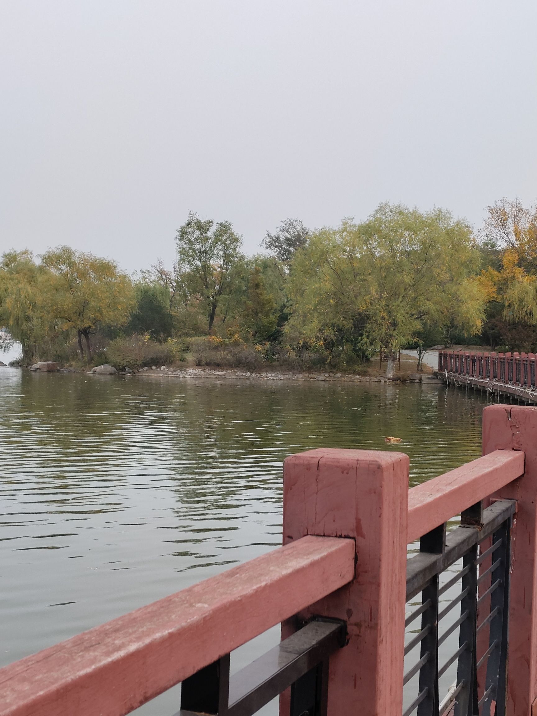 鸢都湖旅行图片 2