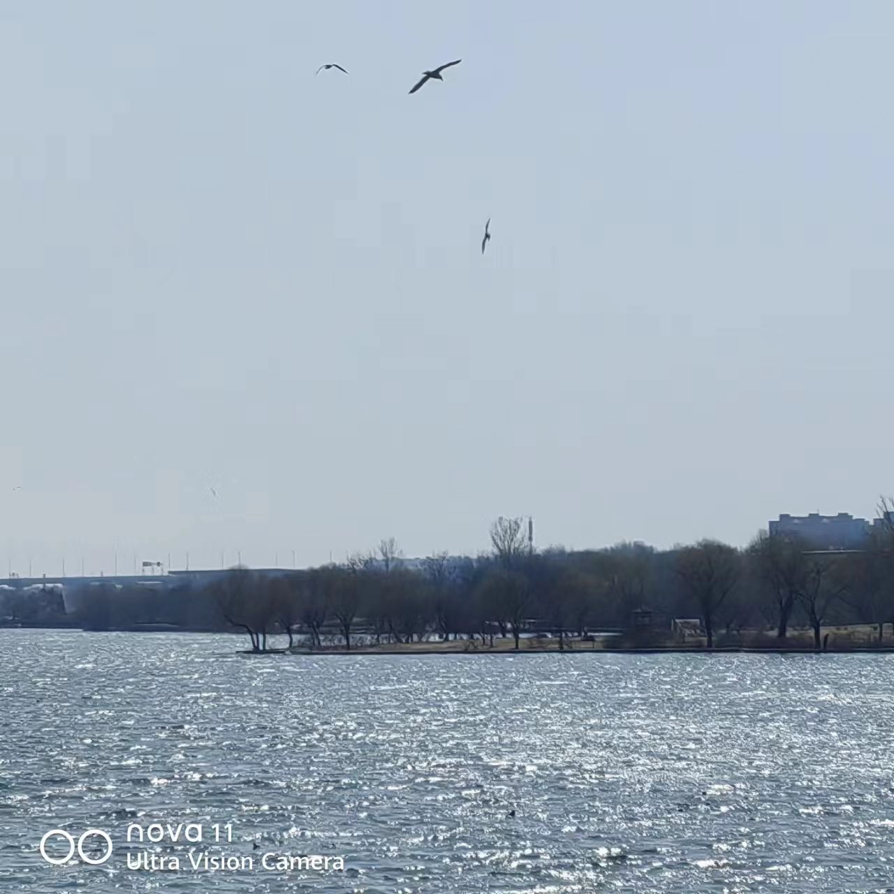 鸢都湖旅行图片 2
