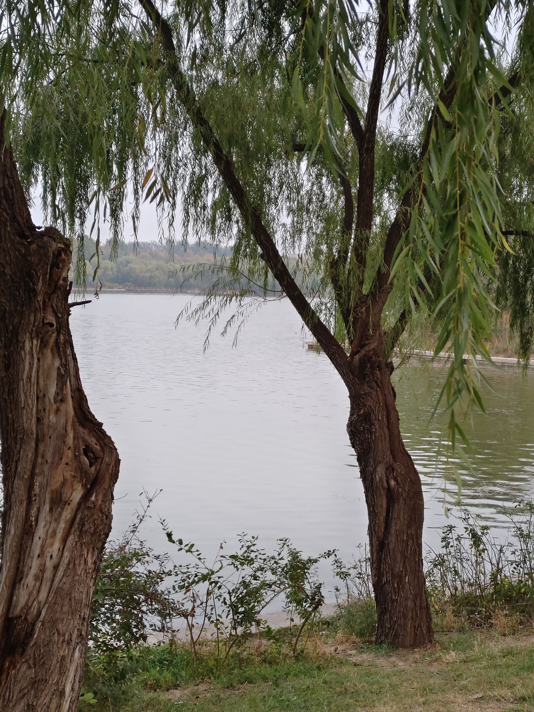 鸢都湖旅行图片 1