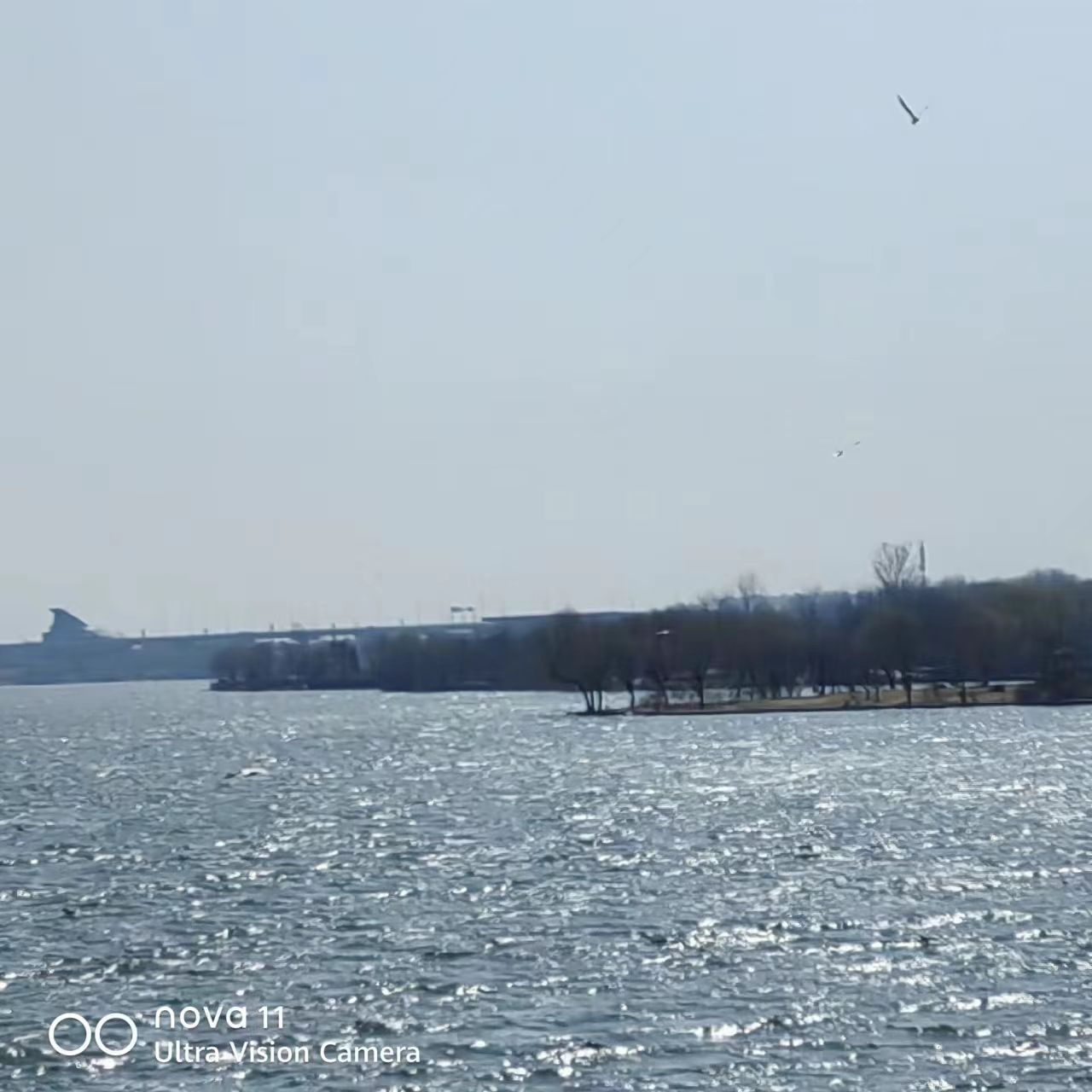 鸢都湖旅行图片 3